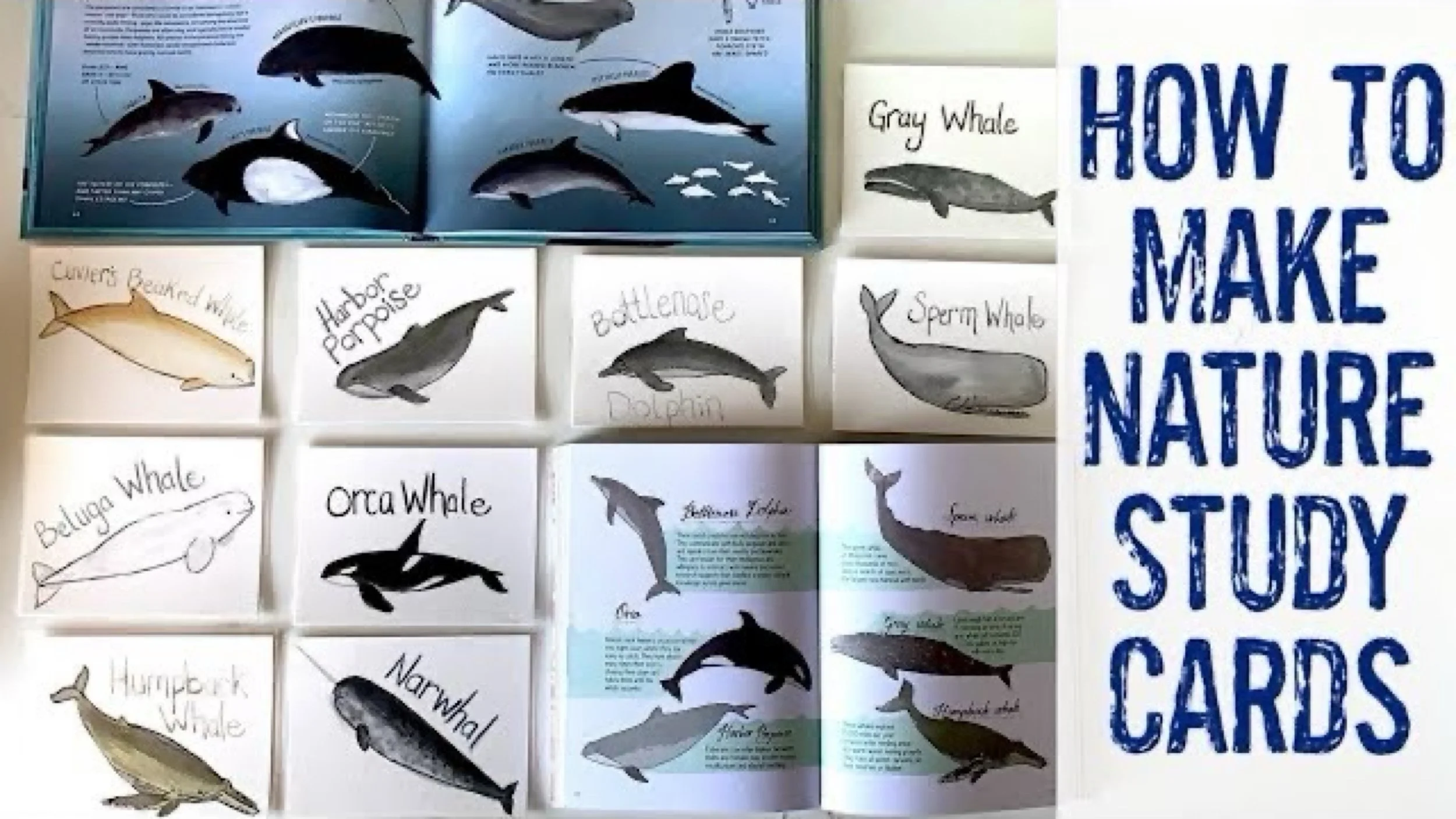 JPEG image-78A5044A553B-1.jpeg