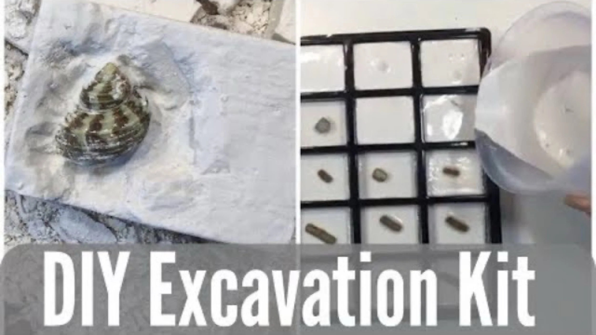 JPEG image-9B9840438262-1.jpeg