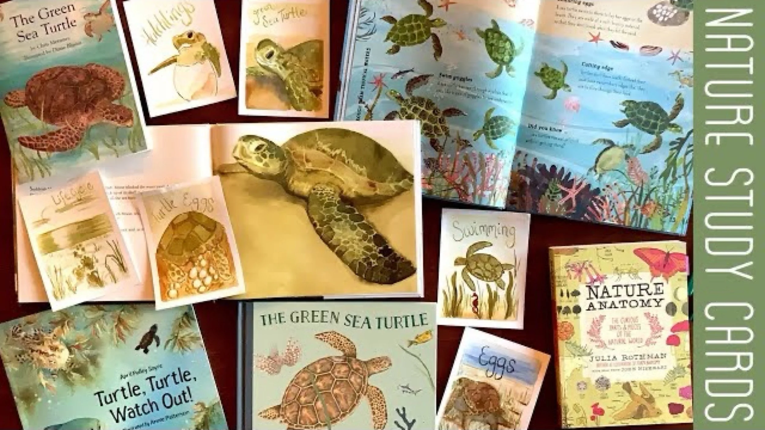 JPEG image-9974FD18A7AE-1.jpeg