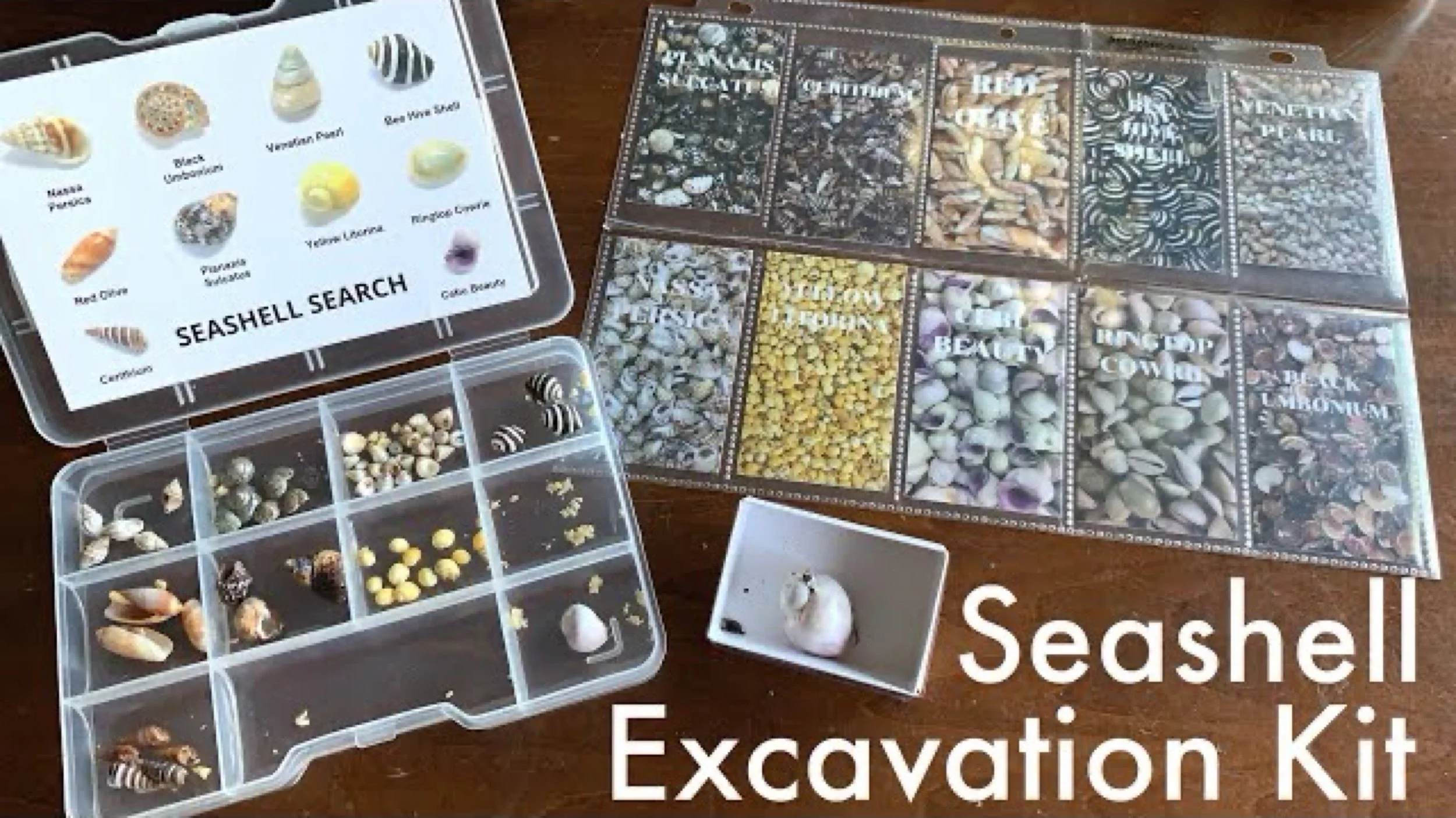 JPEG image-B28CA199B1A8-1.jpeg