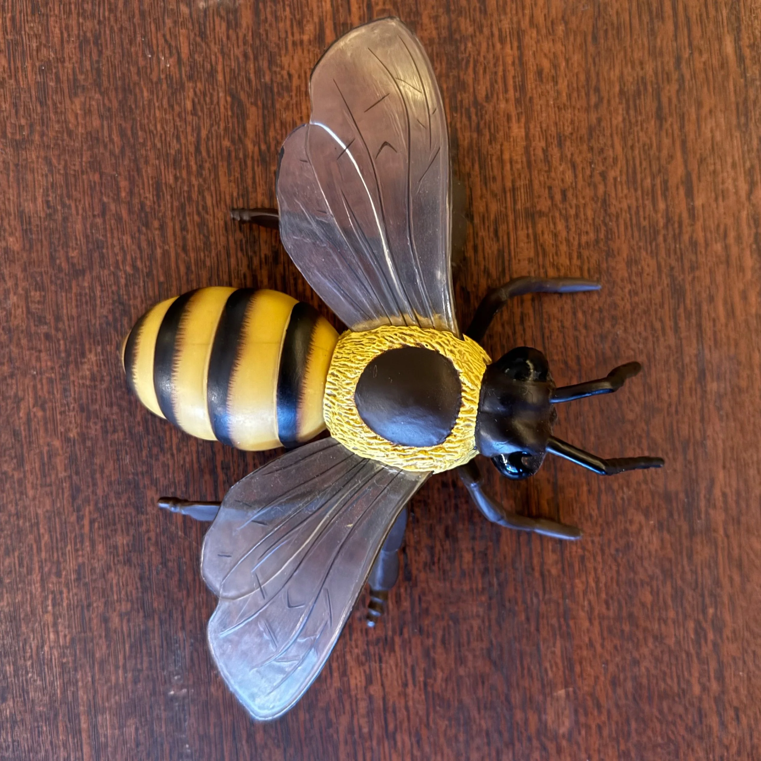 JPEG image-E8E2CB58E953-1.jpeg