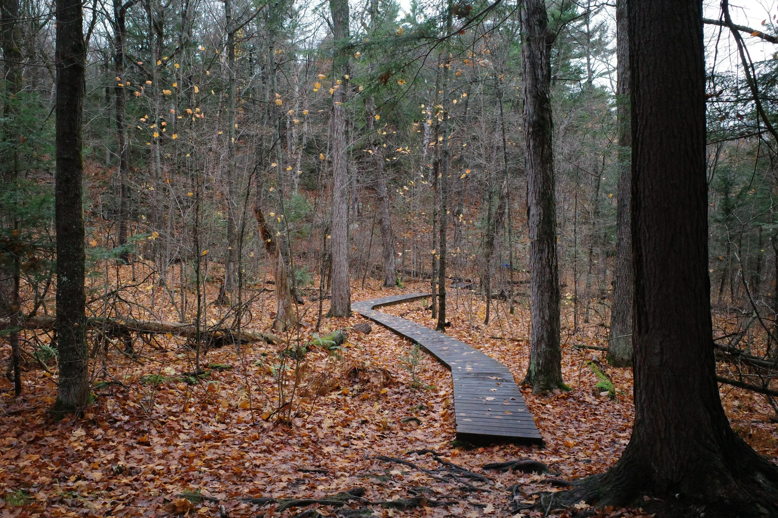 Hiking in from the Crack Parking lot