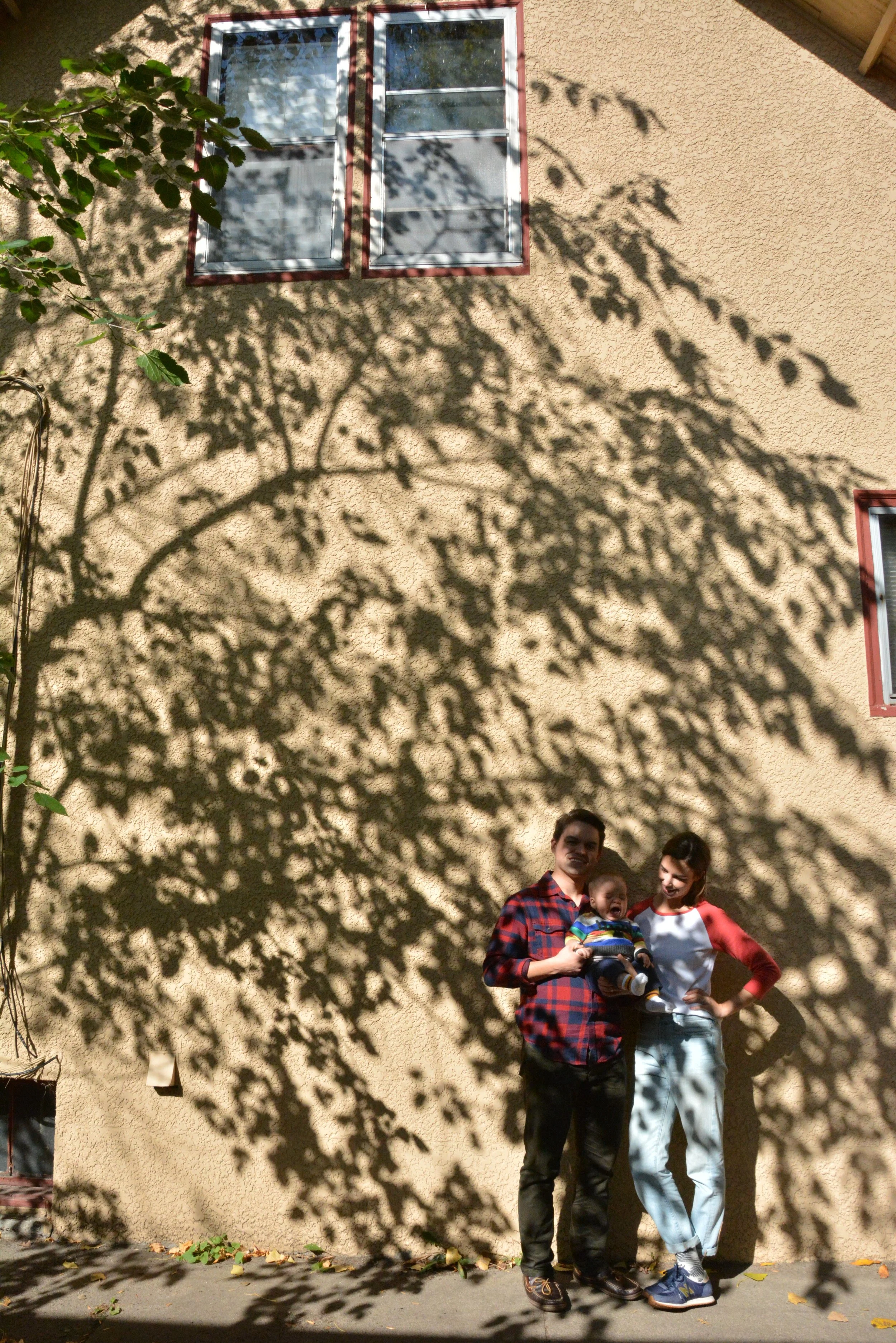 AndreaBrubakerMPLSPhotographer_Family tree shadow.jpeg