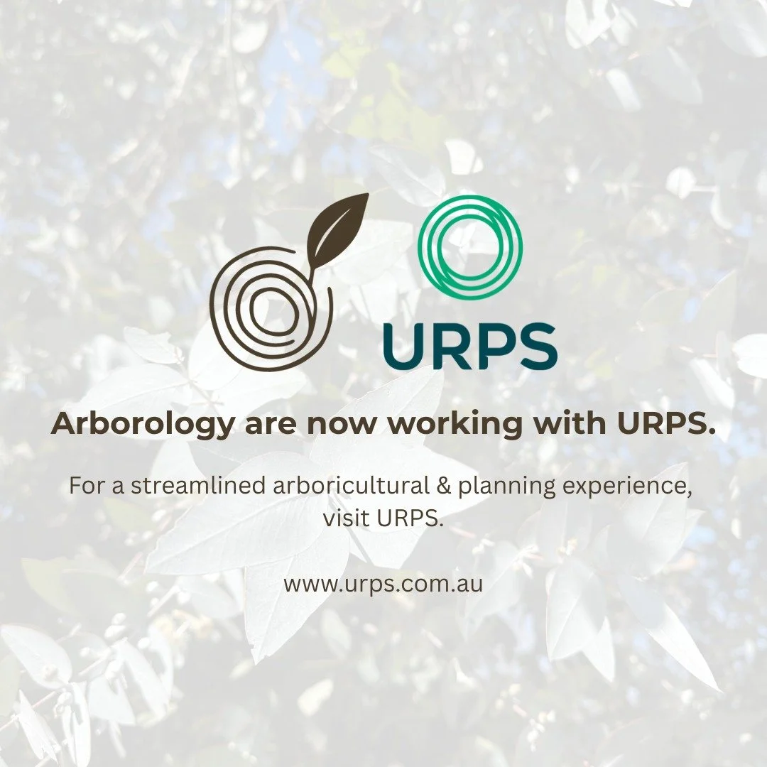 Exciting news 😍

We're proud to announce we are now working with leading planning and design consultancy URPS. 

With increasing development pressures, tightening legislation and a growing need for more resilient landscapes, expert arboricultural ad