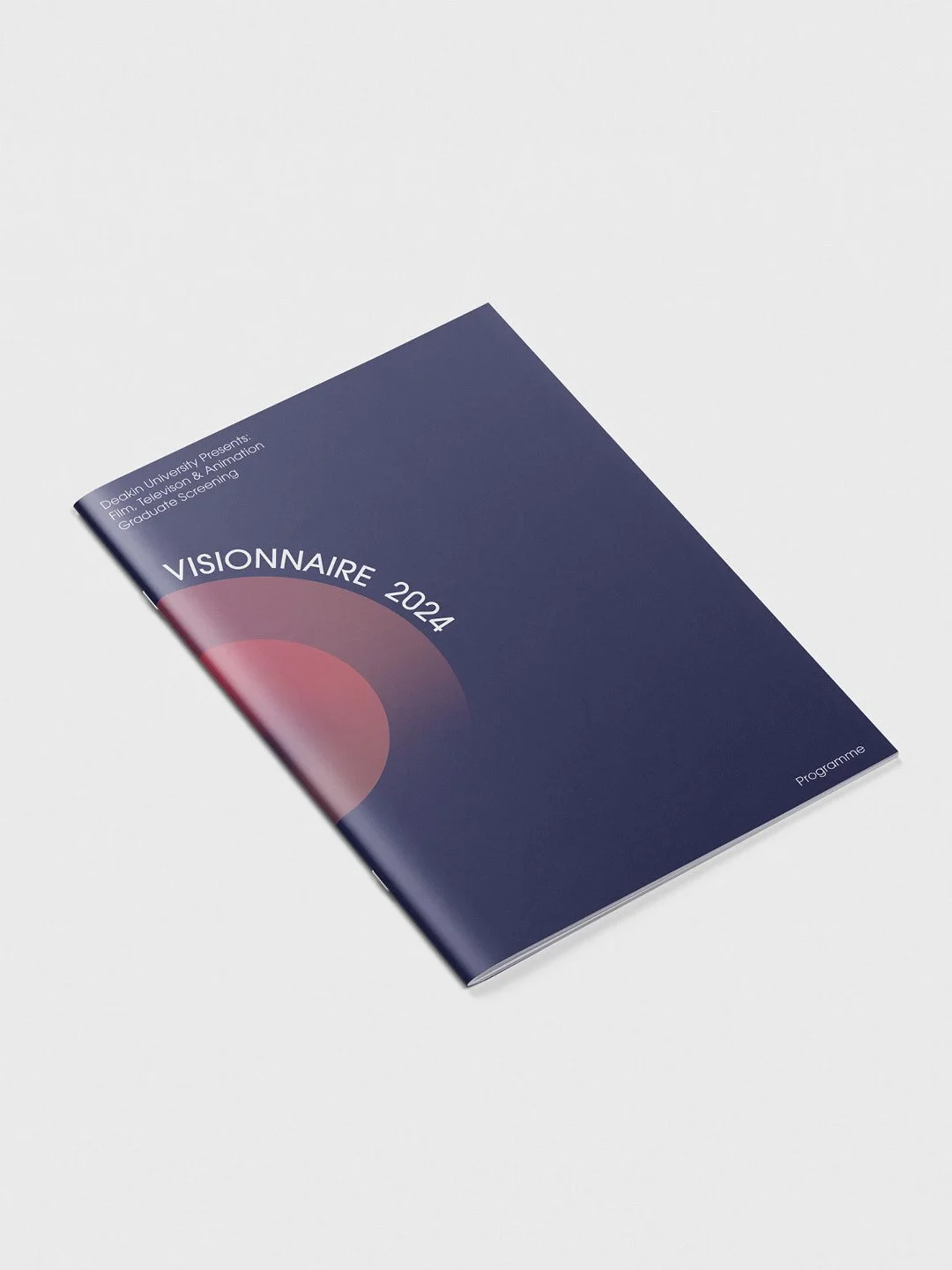 Program booklet titled 'VISIONNAIRE 2024' with dark blue cover and pink-gradient circular design, laying on a white surface.