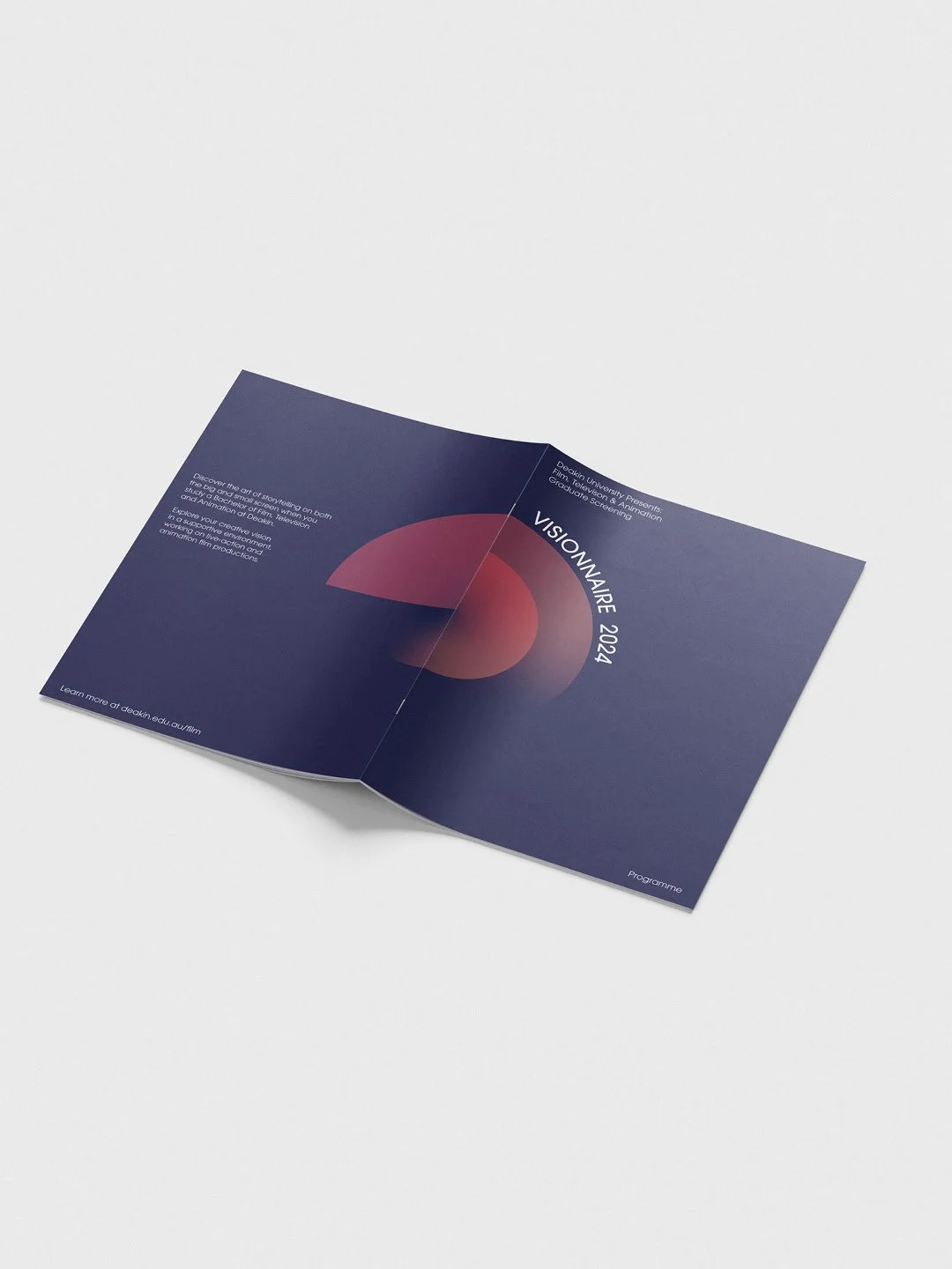 Open brochure or program titled 'VISIONNAIRE 2024' on a white surface, featuring a dark blue background with a red and pink abstract circular design.
