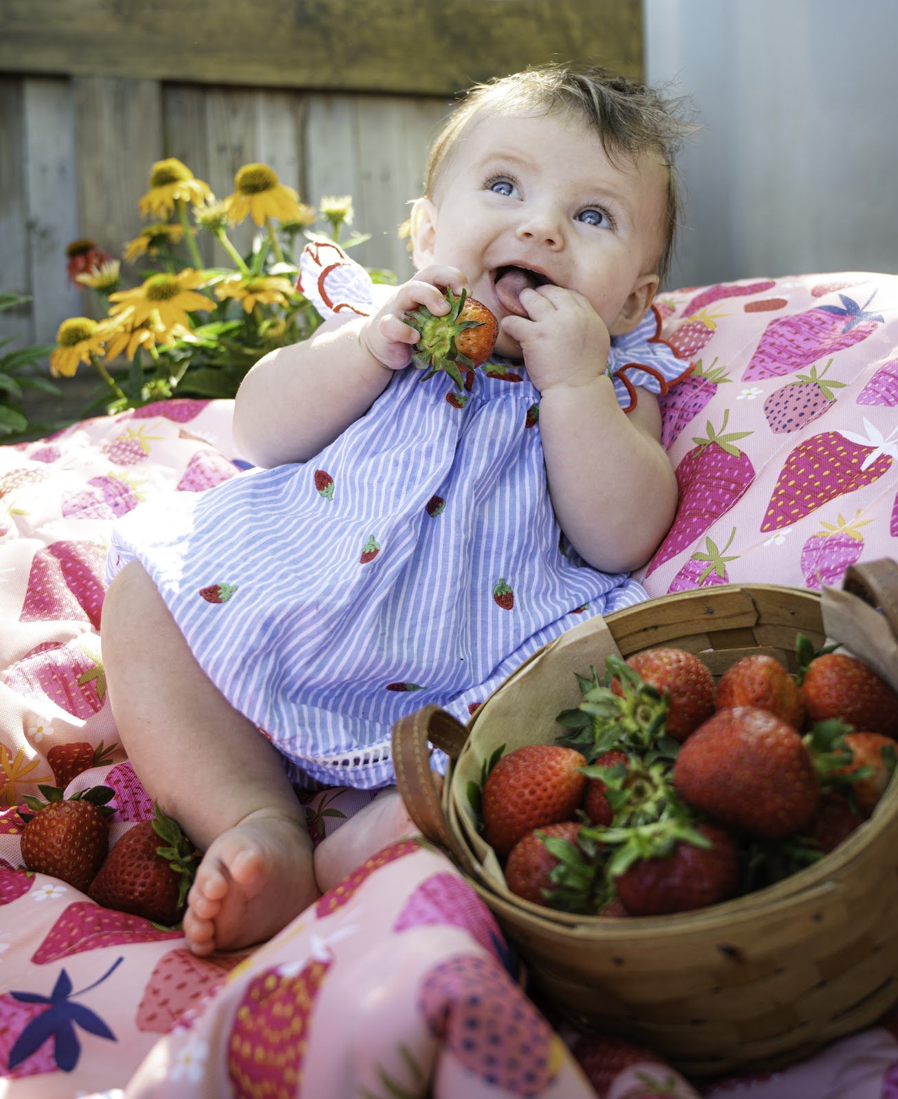 StrawberryGirl_9.jpg
