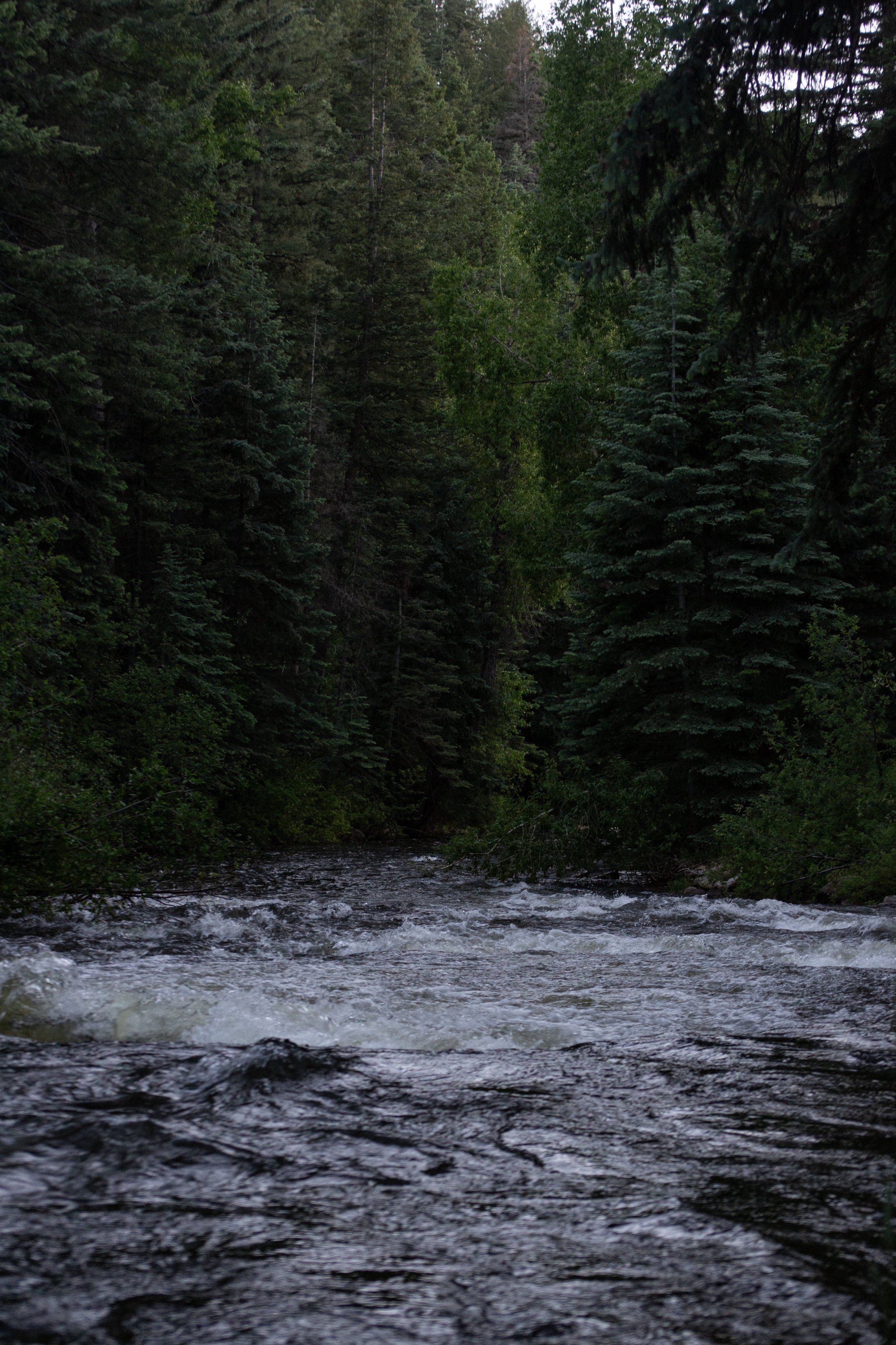 riverr.jpeg