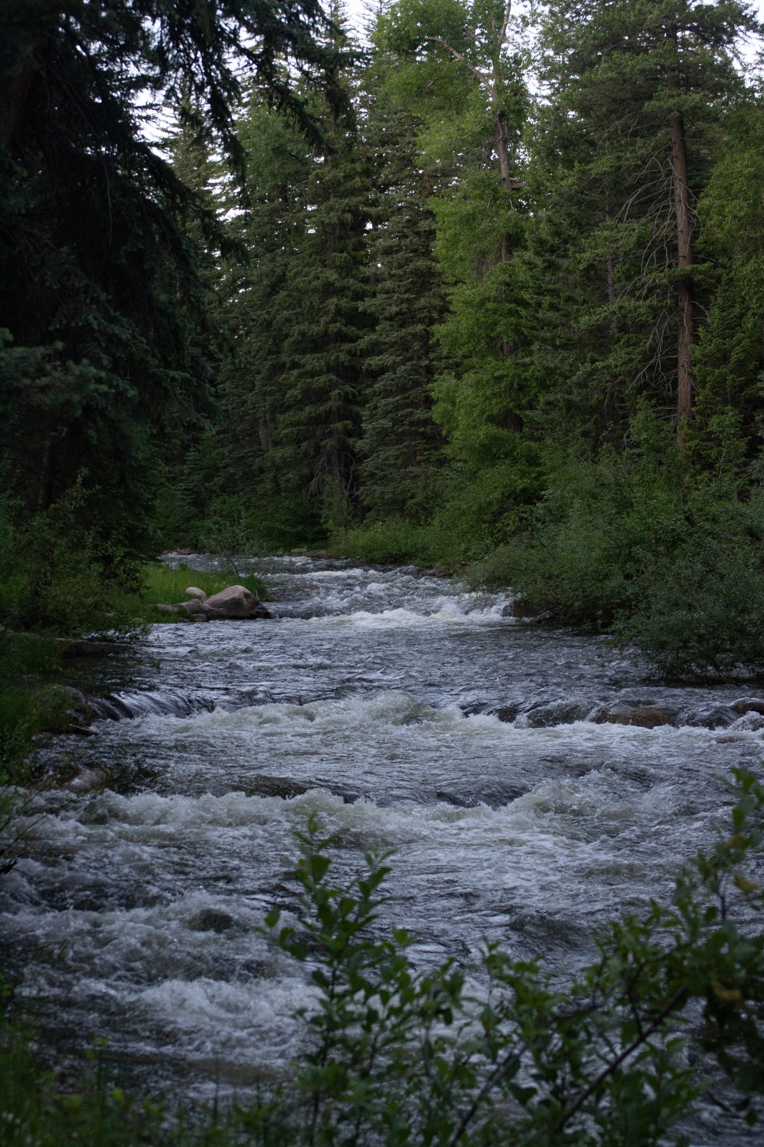 river.jpeg