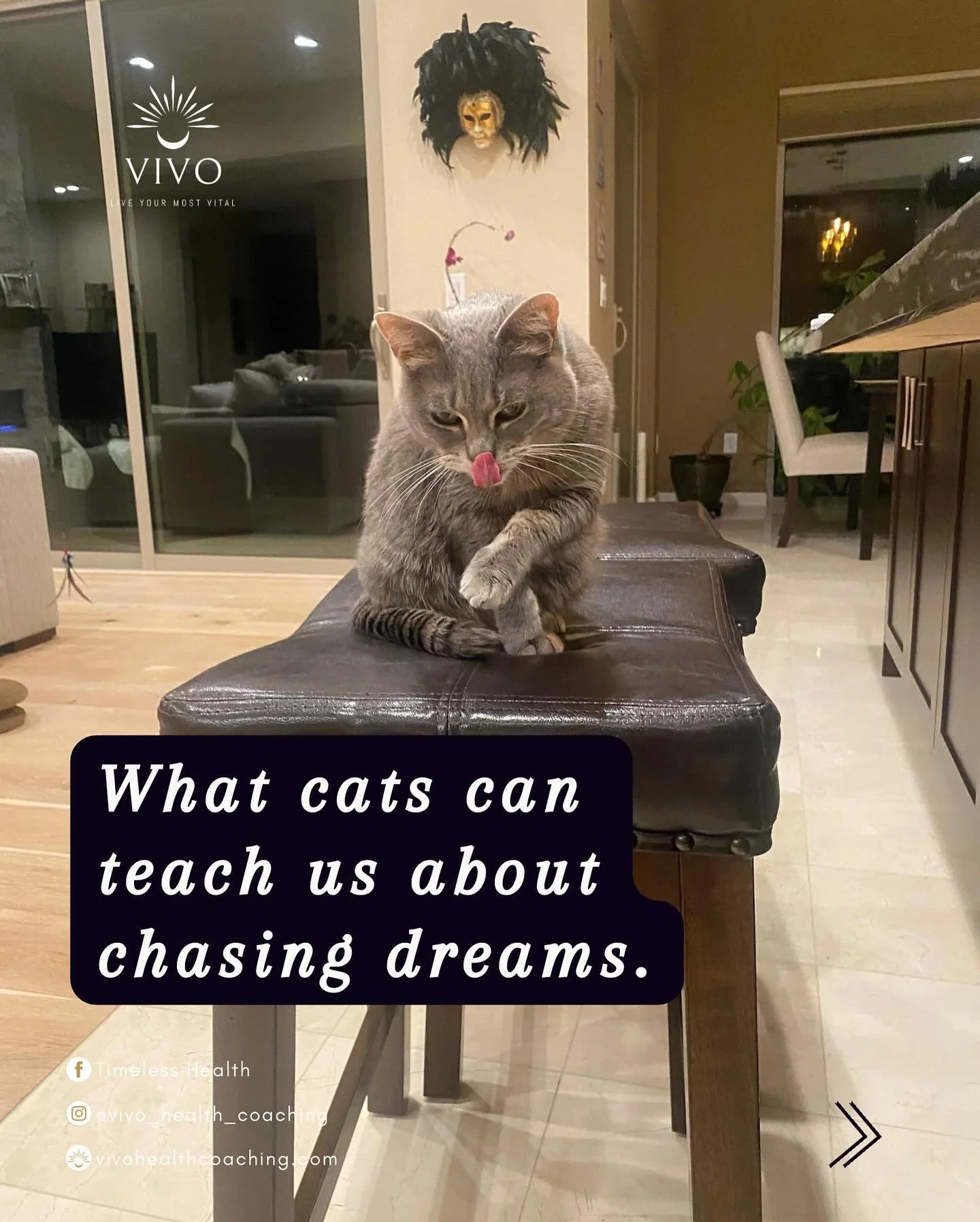 When Kitty plays, her hunting instinct takes over.
There&rsquo;s no space left for overthinking or anxiety &mdash; her body is all in.

That&rsquo;s biology.
And it works for humans too.

When you take even the smallest actions to reduce stress in yo