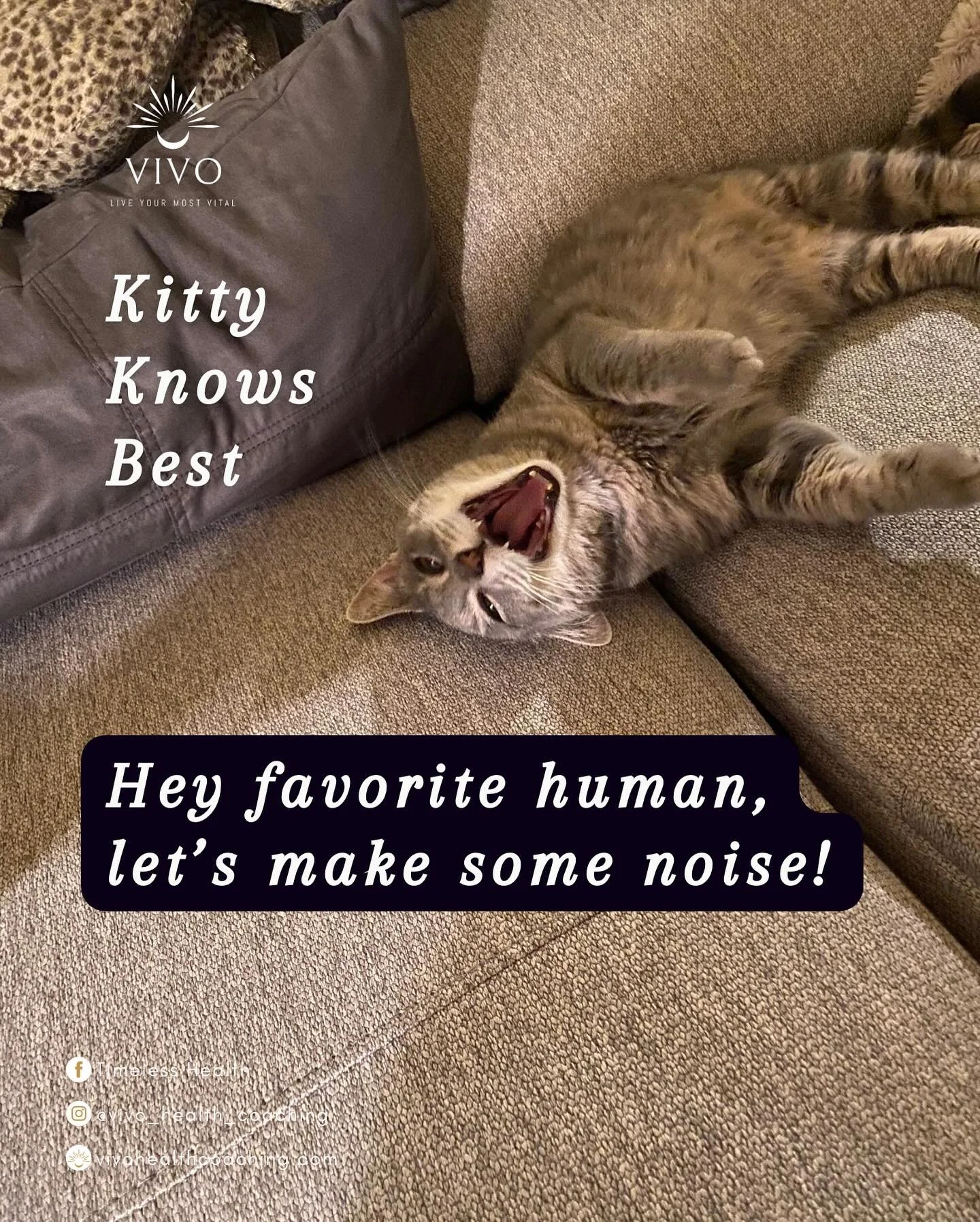 Kitty Wisdom 🐾
&ldquo;Hey favorite human, stop overthinking. Make some noise. Stretch. Yawn. Shake it out.
Your biology isn&rsquo;t against you&mdash;it&rsquo;s asking you to reset.&rdquo;

When stress loops hijack our energy, our bodies don&rsquo;t
