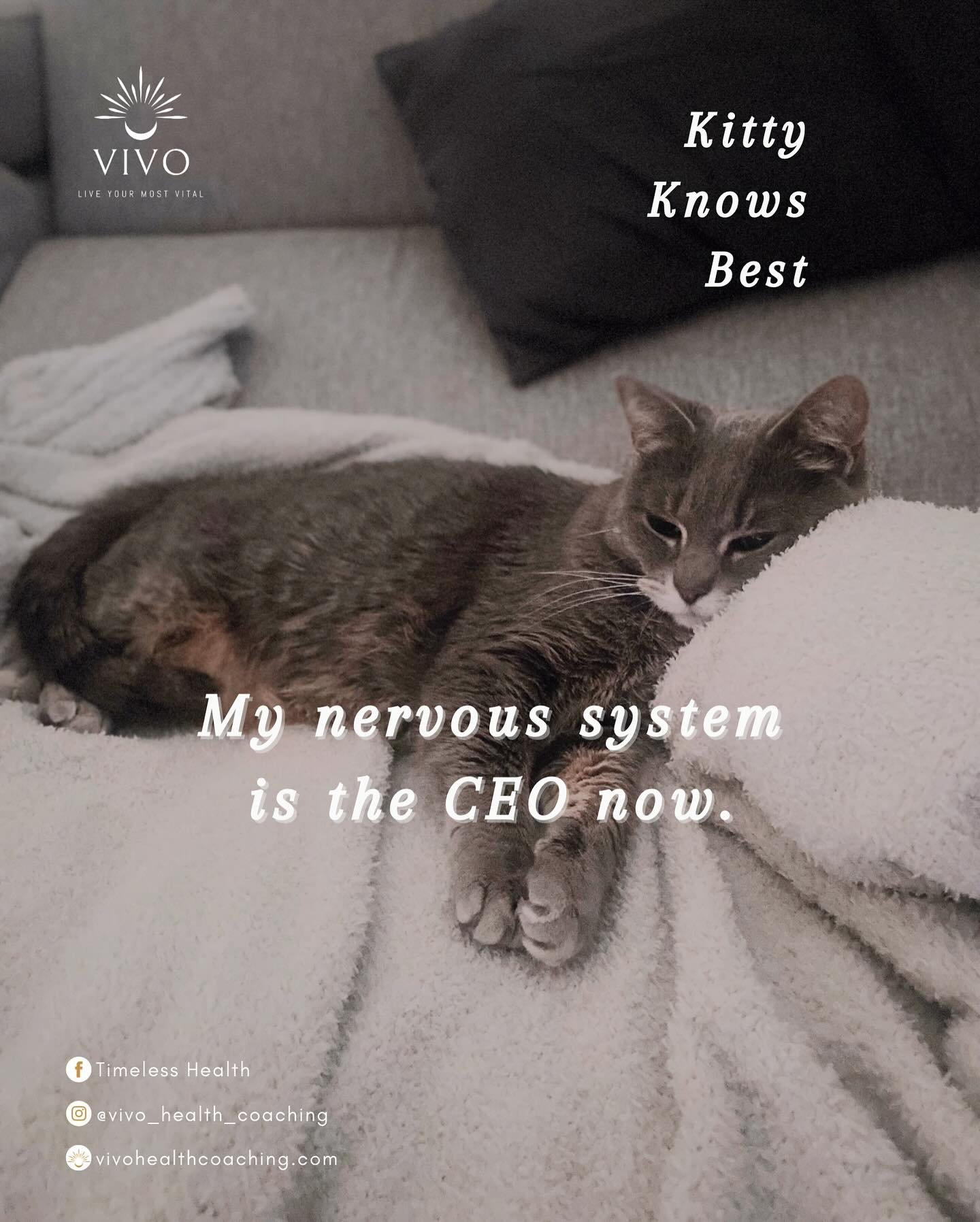 This is your reminder:
Rest is  regulation.

Your ambition and your dream aren&rsquo;t the problem.
They are beautiful. Sacred, even.
But the way you&rsquo;ve been taught to chase them? That&rsquo;s what&rsquo;s draining your energy.

Your nervous sy