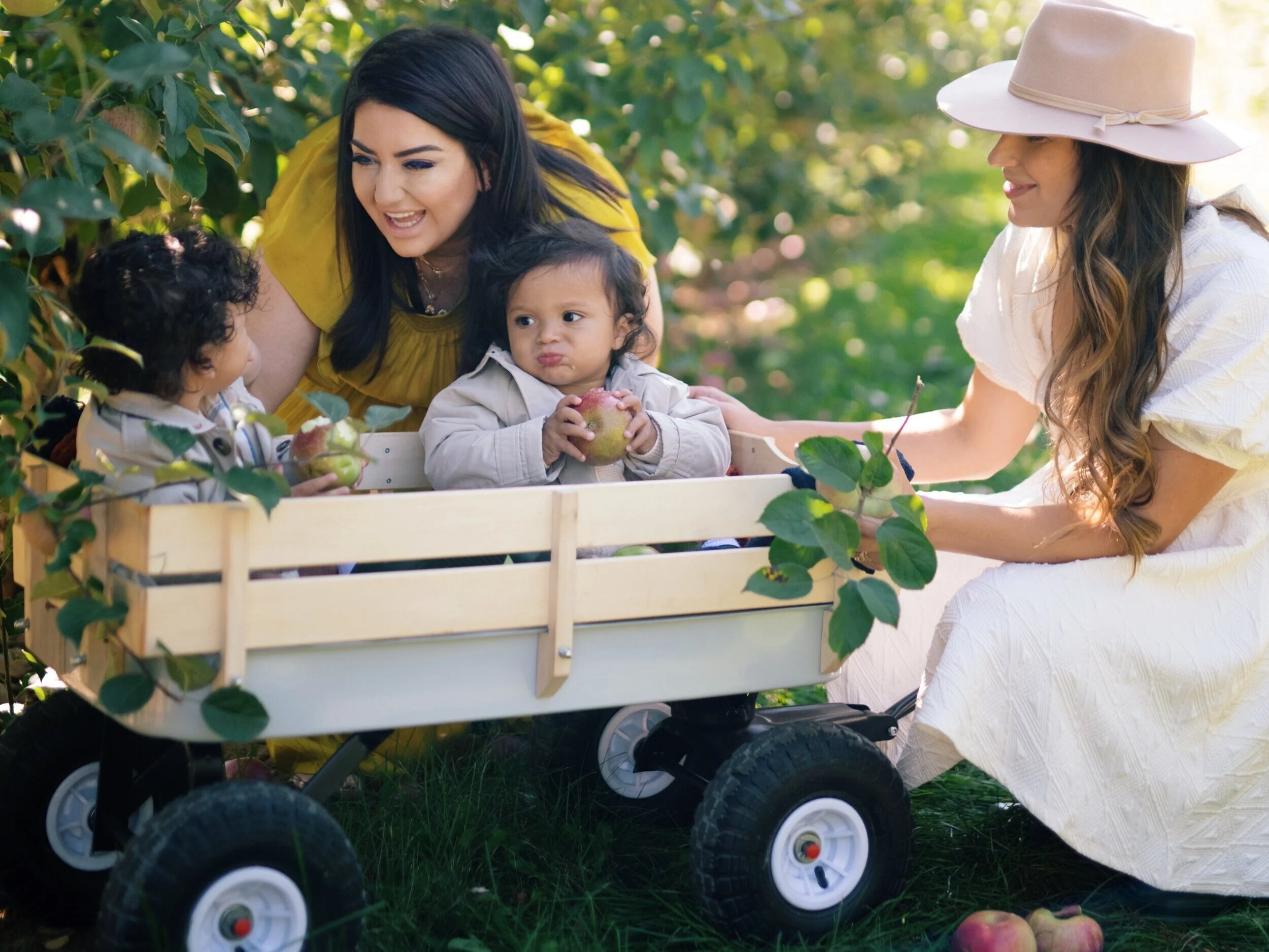 The Perfect Fall Apple Pie Recipe