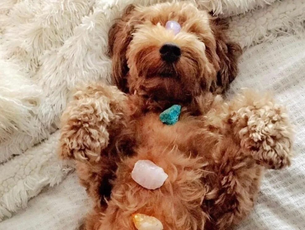 The Essential Mercury Retrograde Guide: Who, What, Where + Why You Should(nt) Care