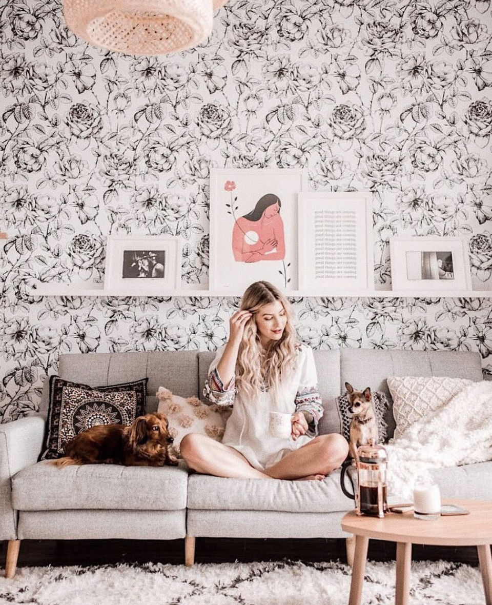 Screen Shot 2019-01-21 at 11.36.46 PM.png