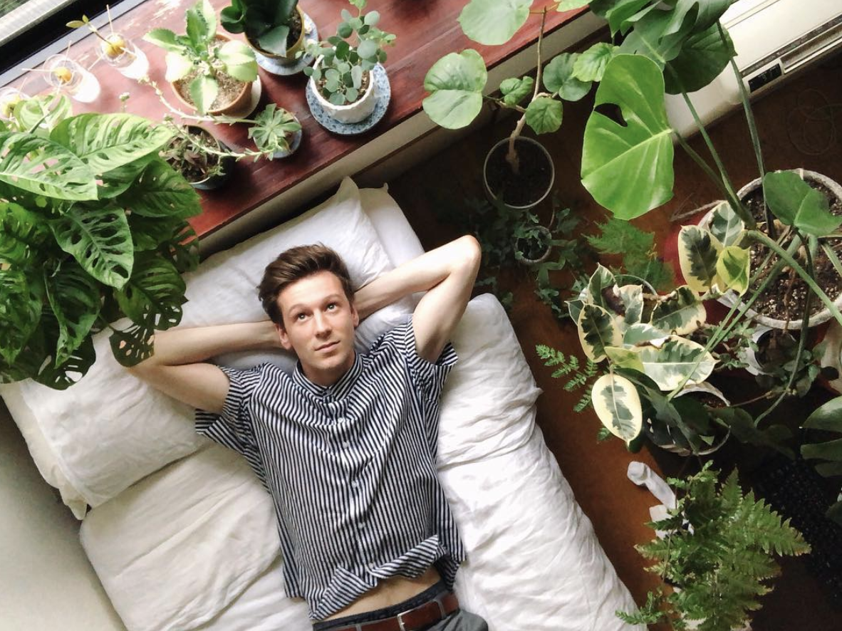 7 Online Shops Where You Can Buy The House Plants Of Your Dreams