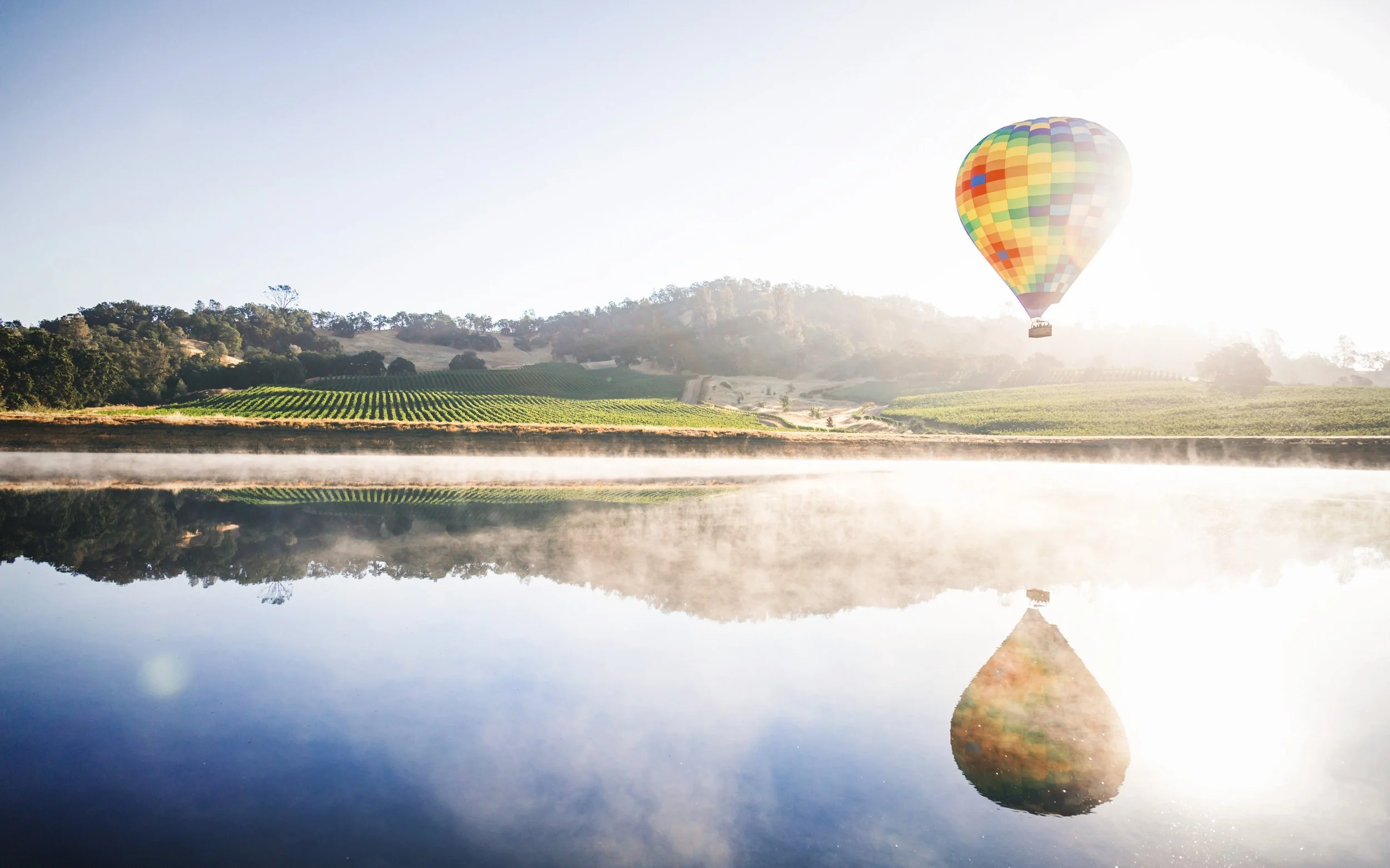 Experience Napa Valley in a Day