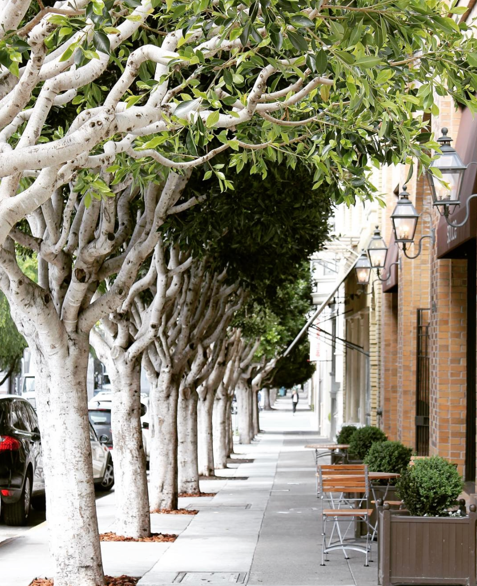 San Francisco Dining Guide