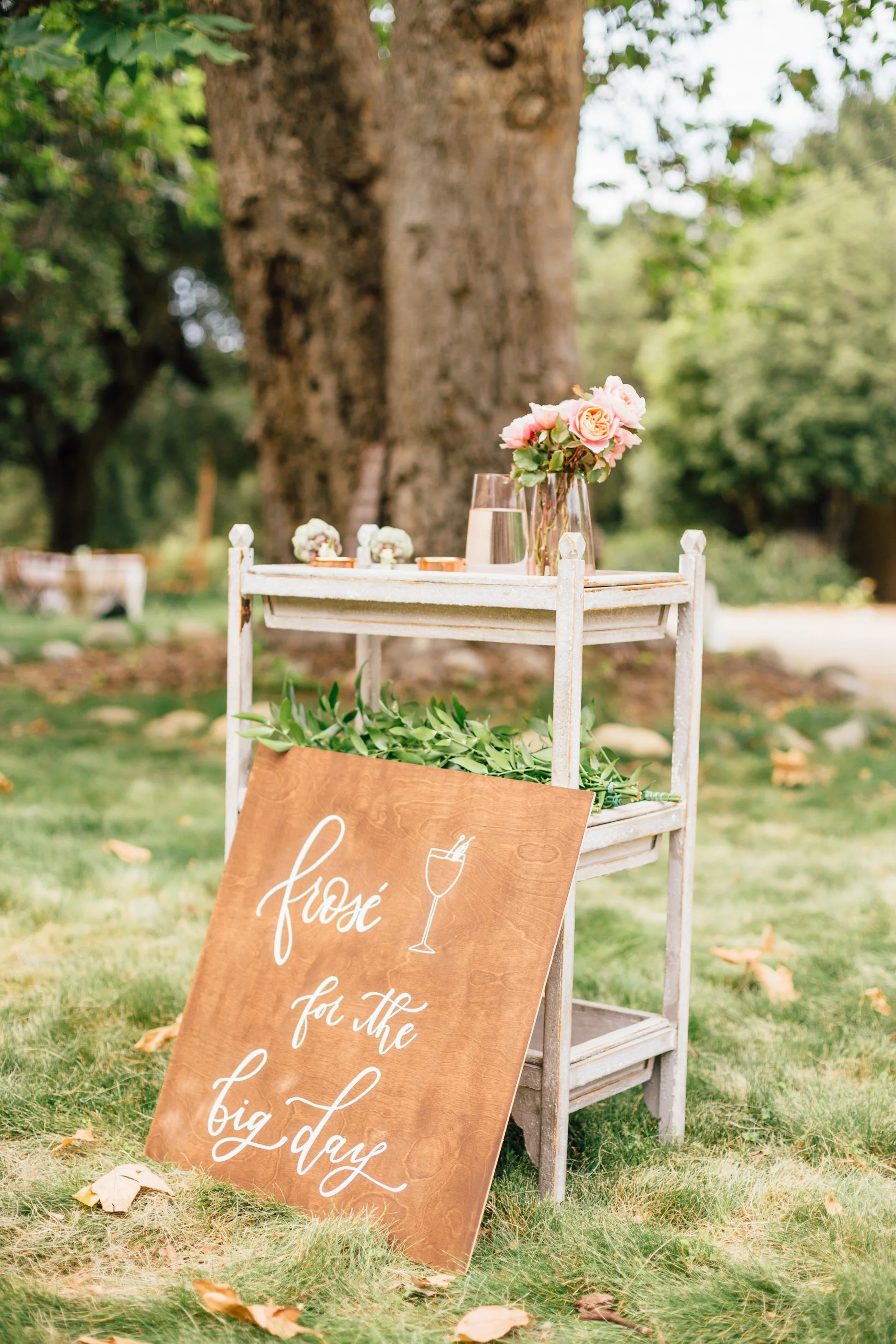 Best Frosé Recipe Ever