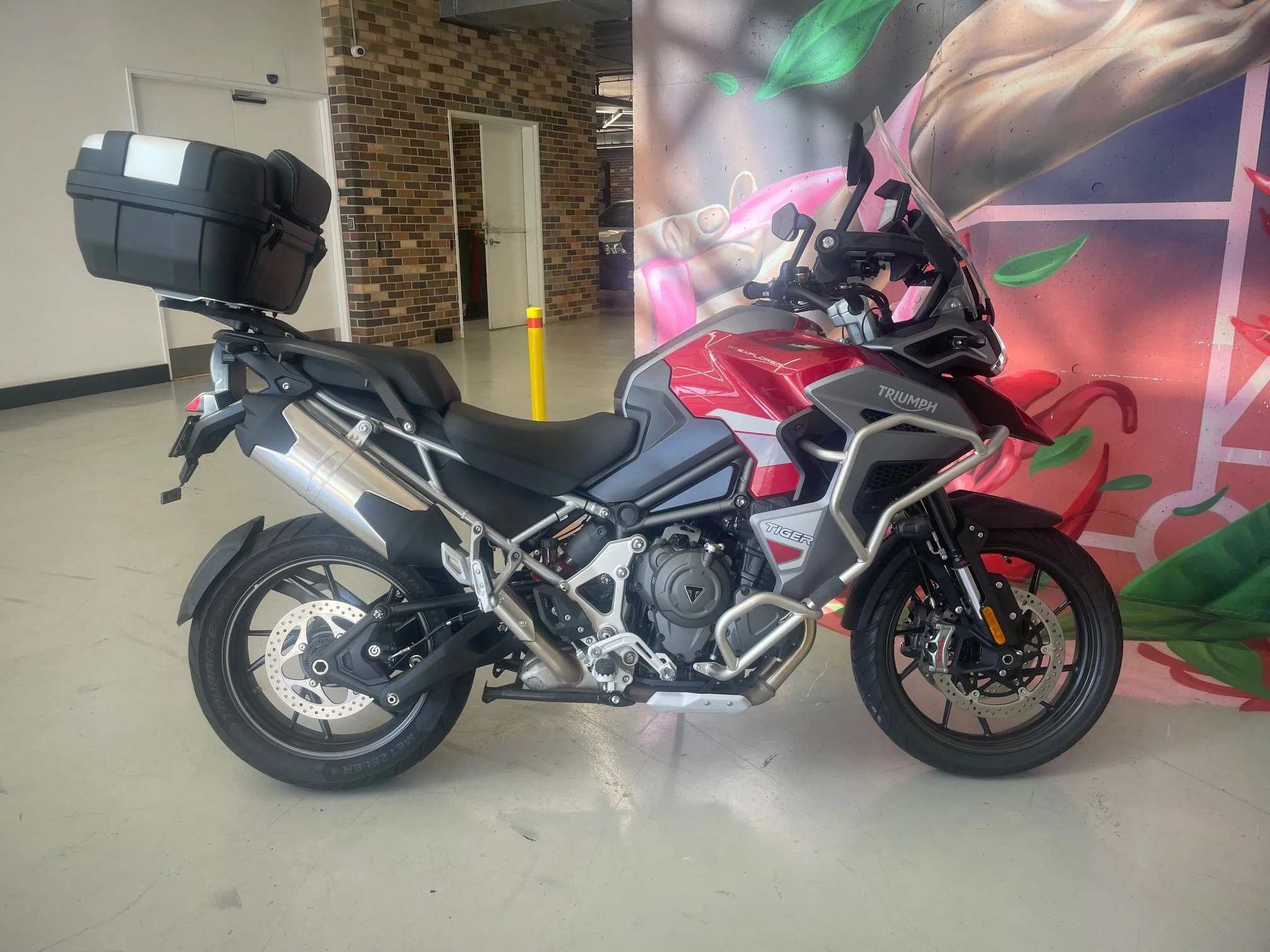 2024 Triumph Tiger 1200 GT Explorer