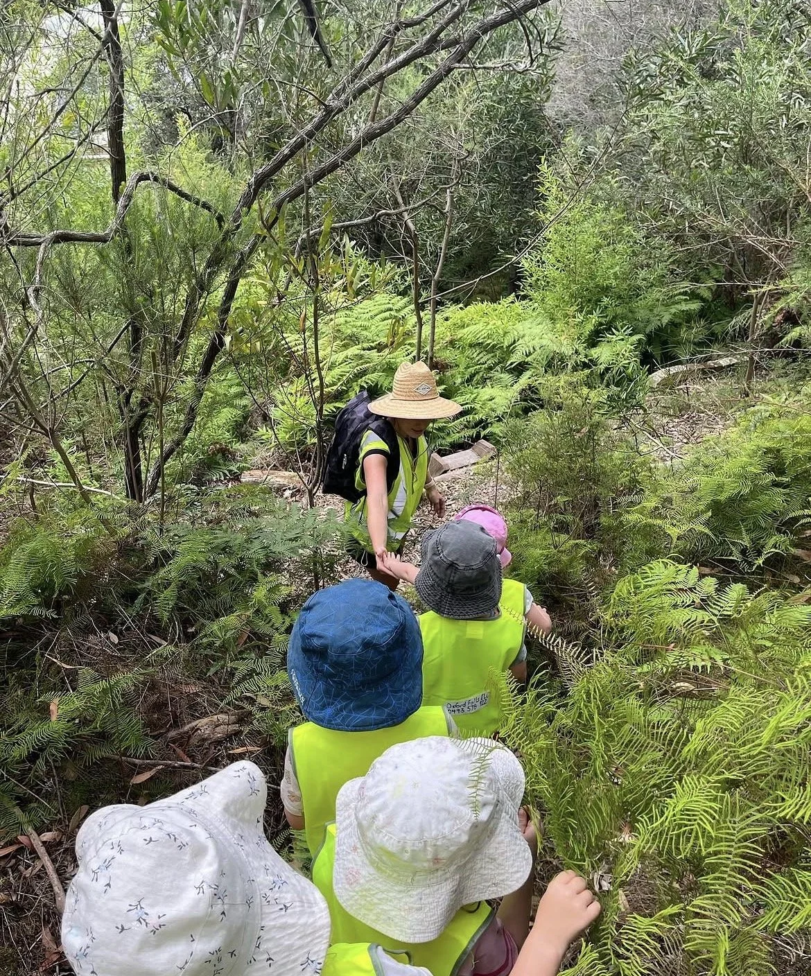 A group of children and an adult are exploring a lush, green forest trail, wearing hats and bright yellow safety vests.