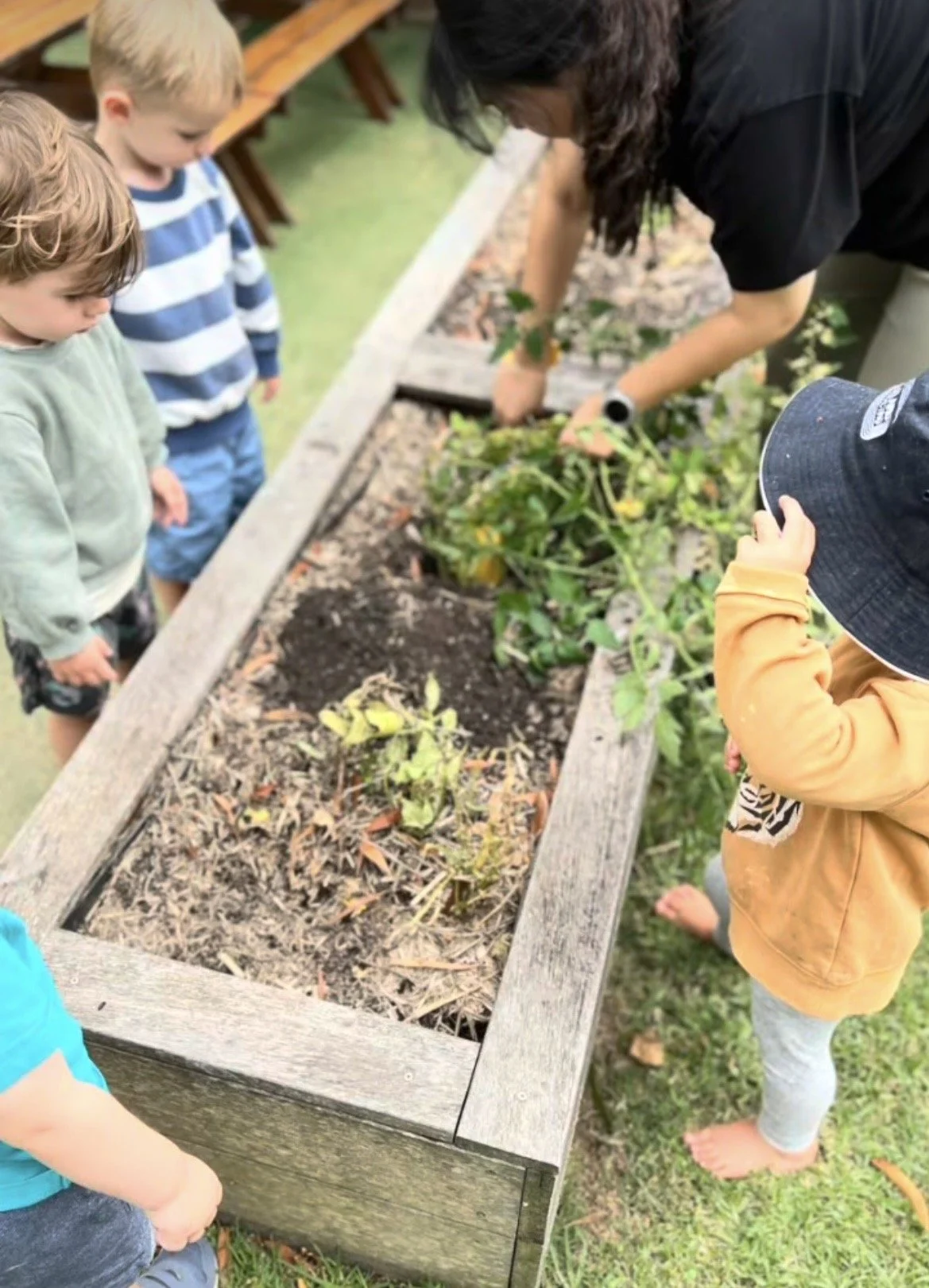 Children and an adult gardening in a raised wooden garden bed outdoors.