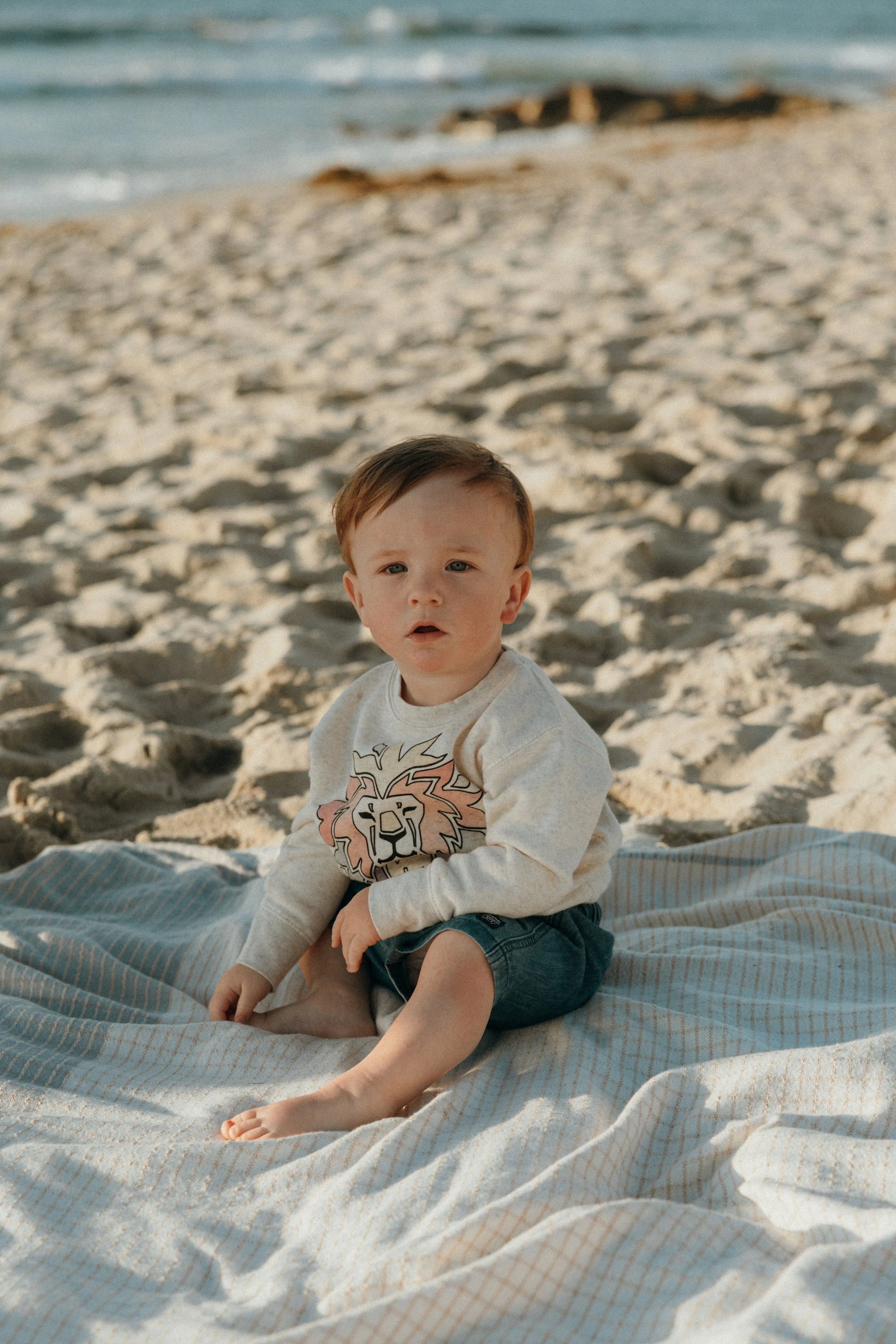 San Diego La Jolla Family Photo Session