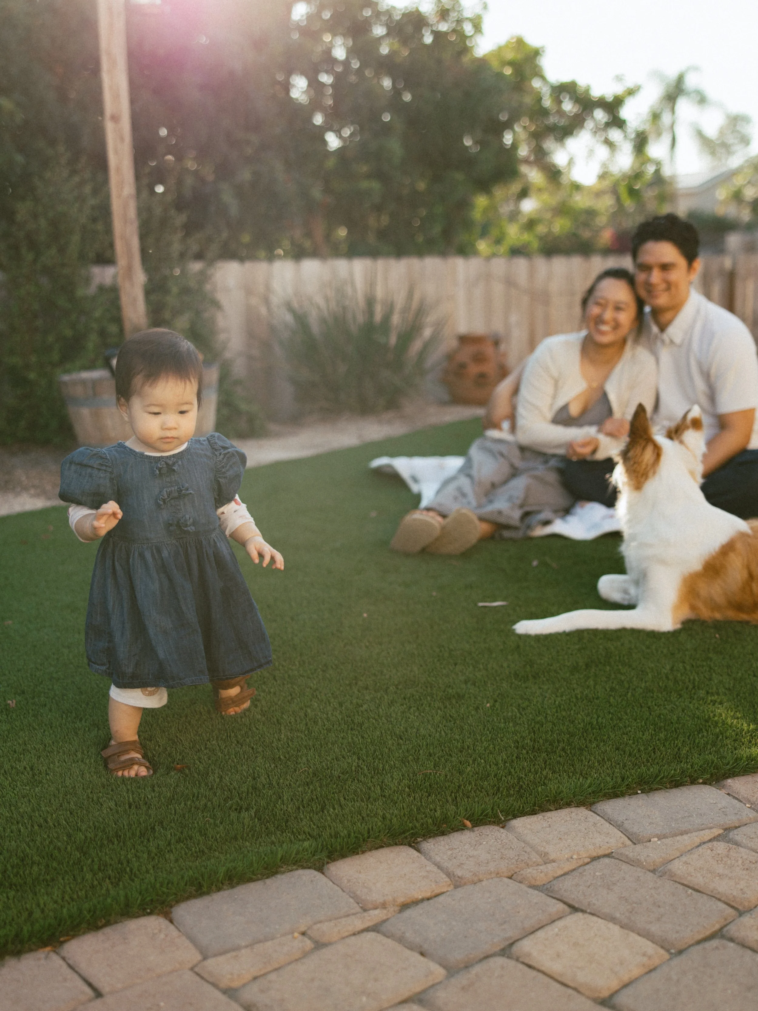 San Diego family photo session backyard