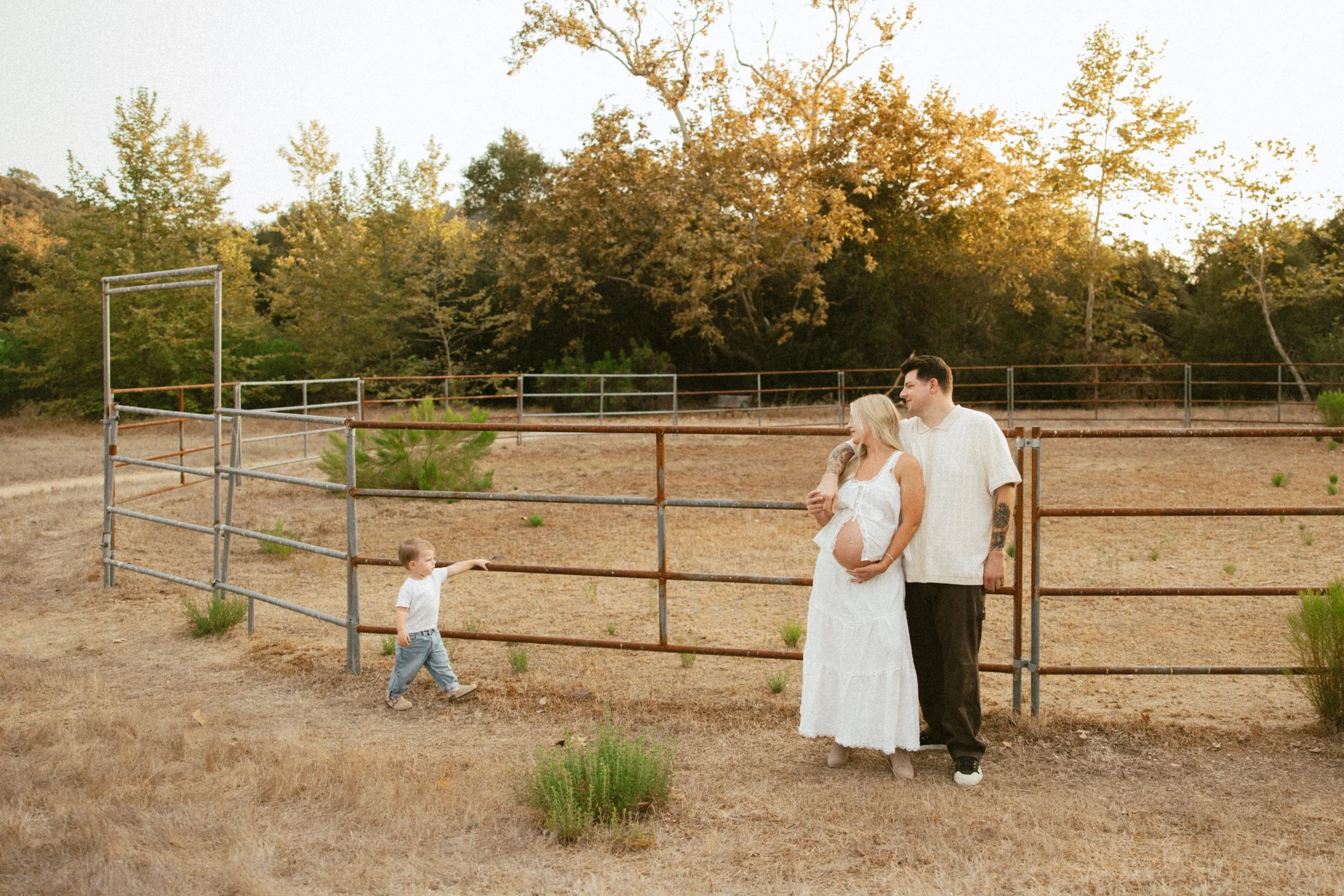 A couple, a pregnant woman and a man, standing close to each other near a metal fence in an outdoor setting with trees and dry grass, during late afternoon or evening. A young child is playing nearby.