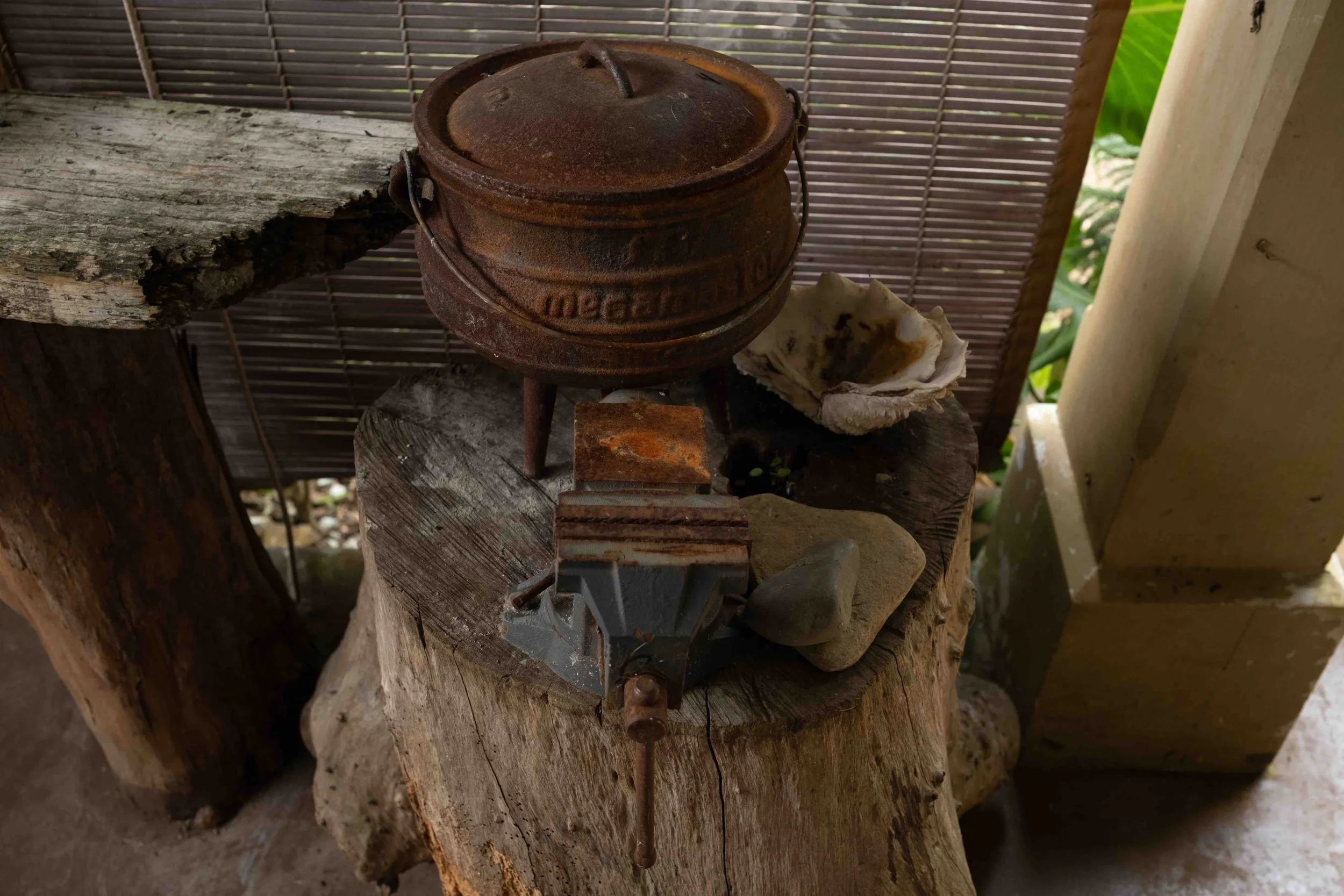 Gael Soupe-9200.jpg