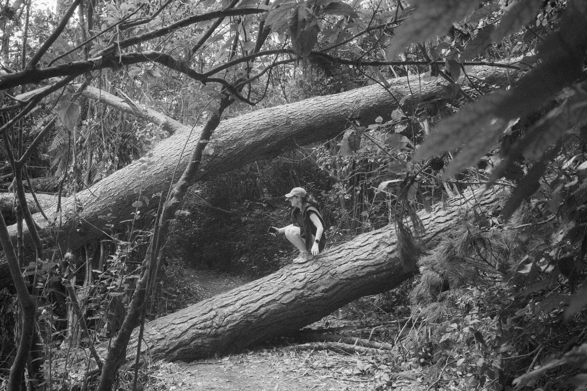 A person in a cap and vest crouches on a fallen tree in a dense forest, holding a phone.