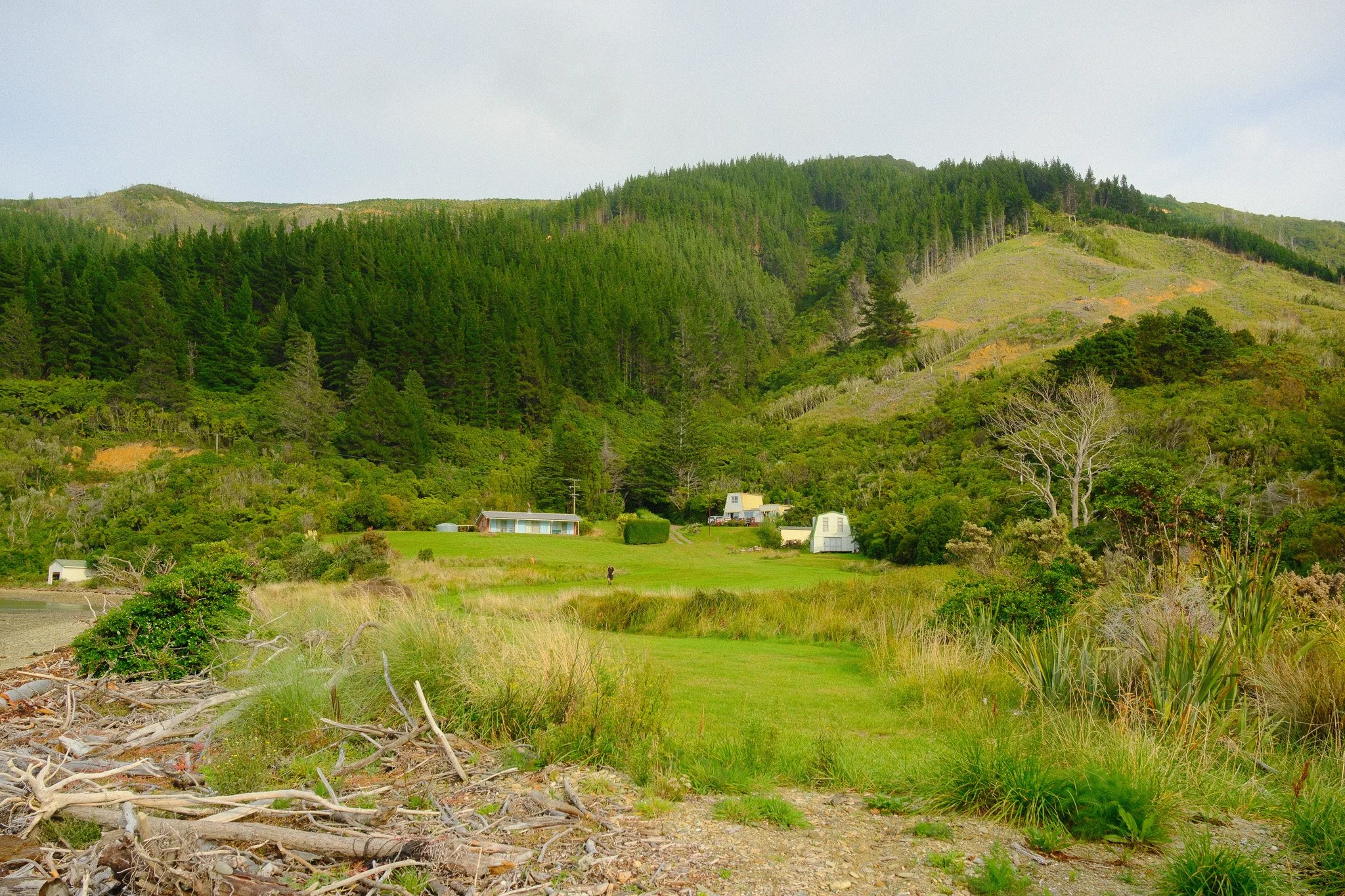 A rural landscape with a grassy path leading to a small cluster of houses at the foot of a green, forested hillside.