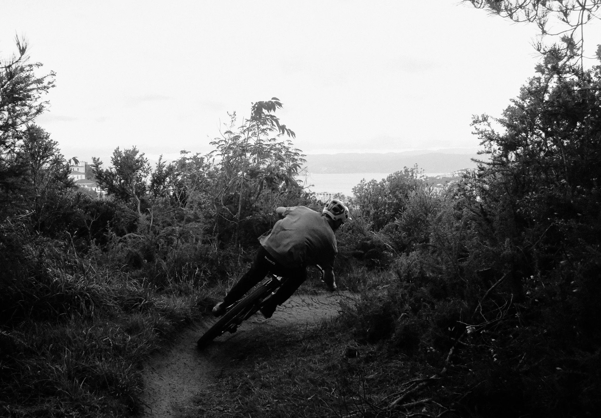 A person mountain biking on a trail through a wooded area with trees and bushes, overlooking a body of water in the distance, black and white photo.