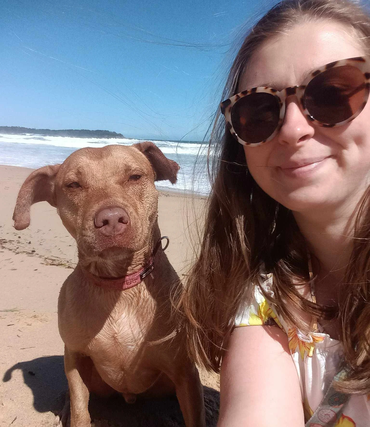 A woman wearing sunglasses taking a selfie on the beach with a brown dog with one eye closed near her.