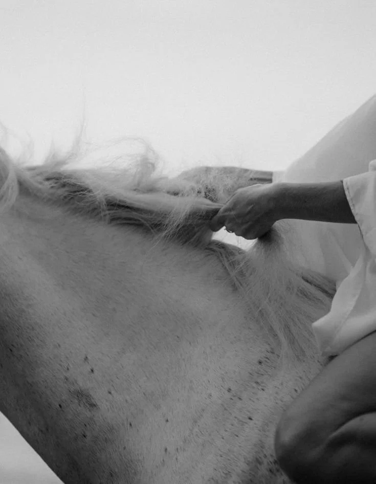A person administering an injection to a horse in a stable or clinic setting.