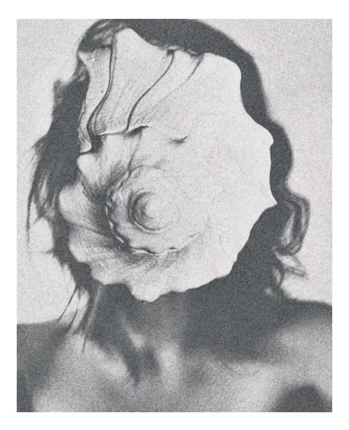 A black and white artistic photo of a woman with curly hair, with her face obscured by a white rose.