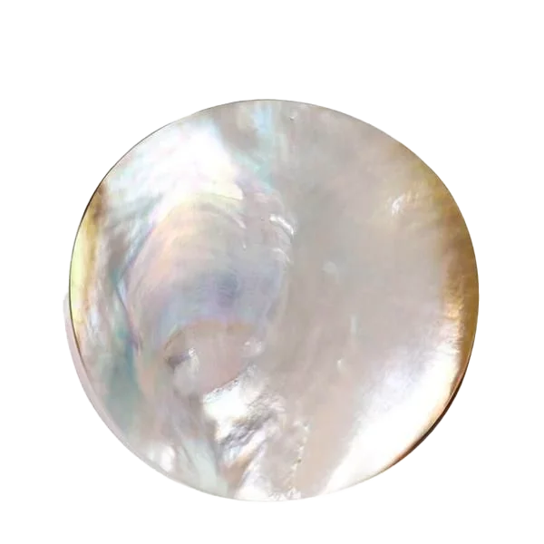 Close-up of a shiny, iridescent shell, possibly a mother-of-pearl shell.