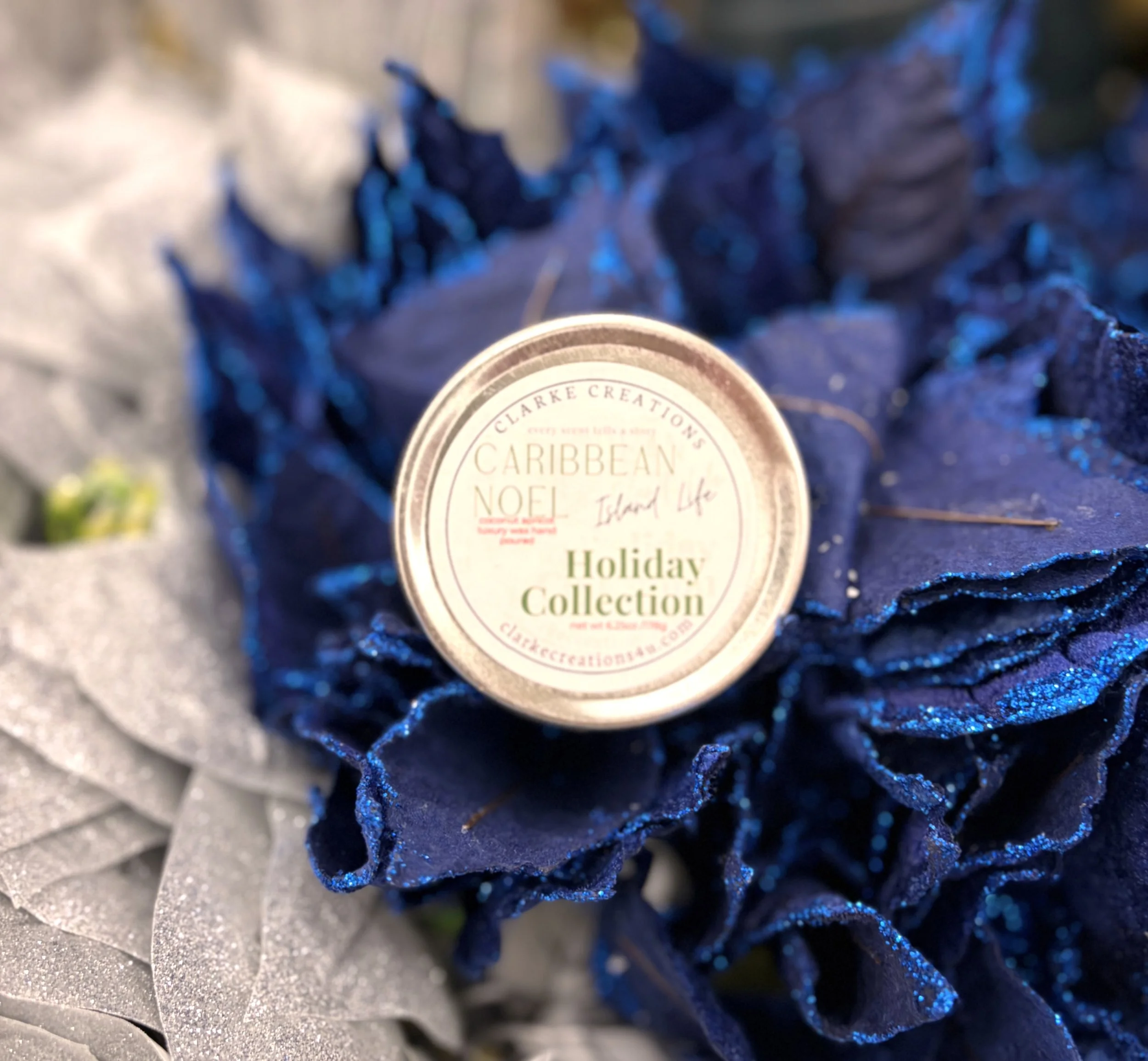 caribbean noel blue.JPG