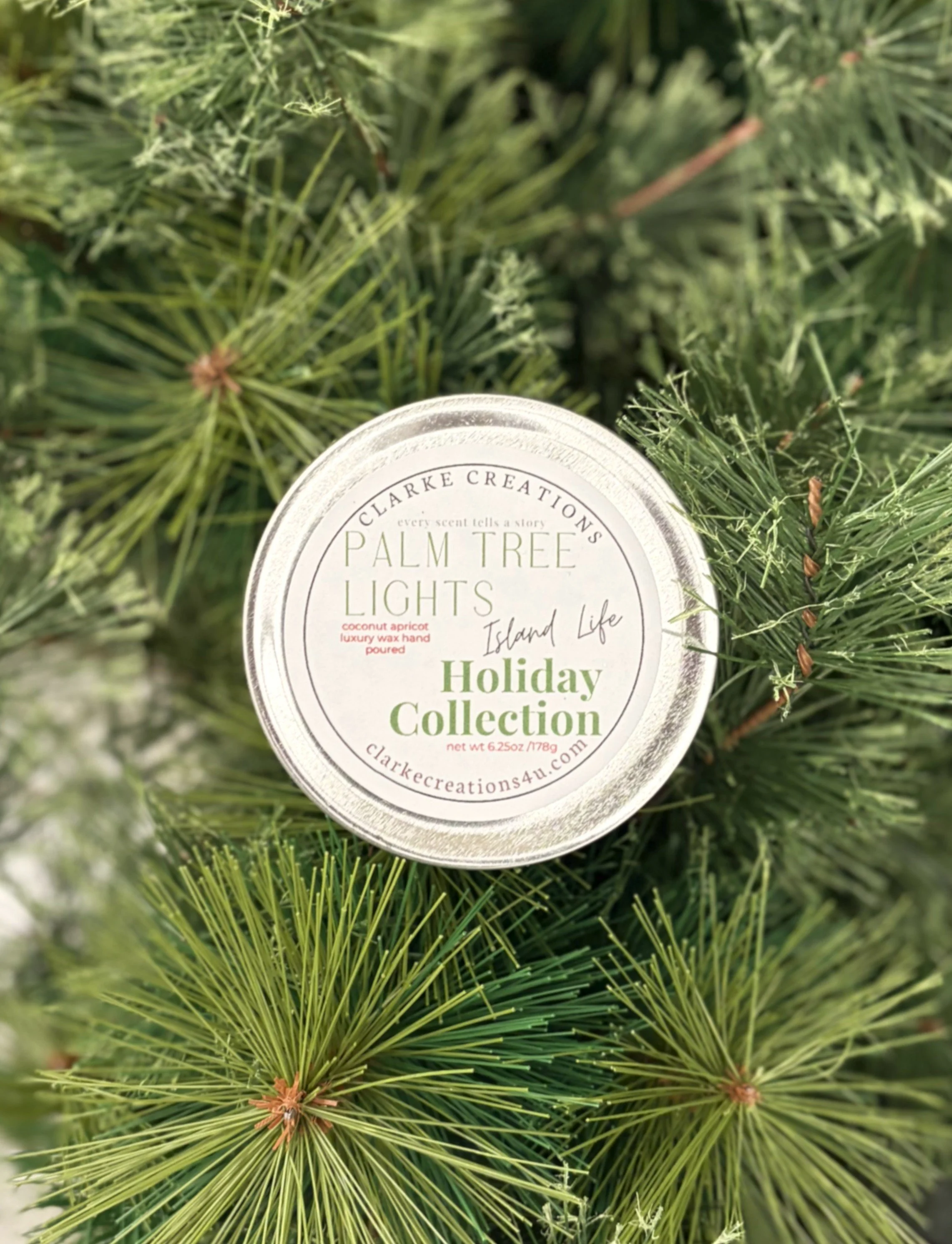 palm tree lights green.JPG