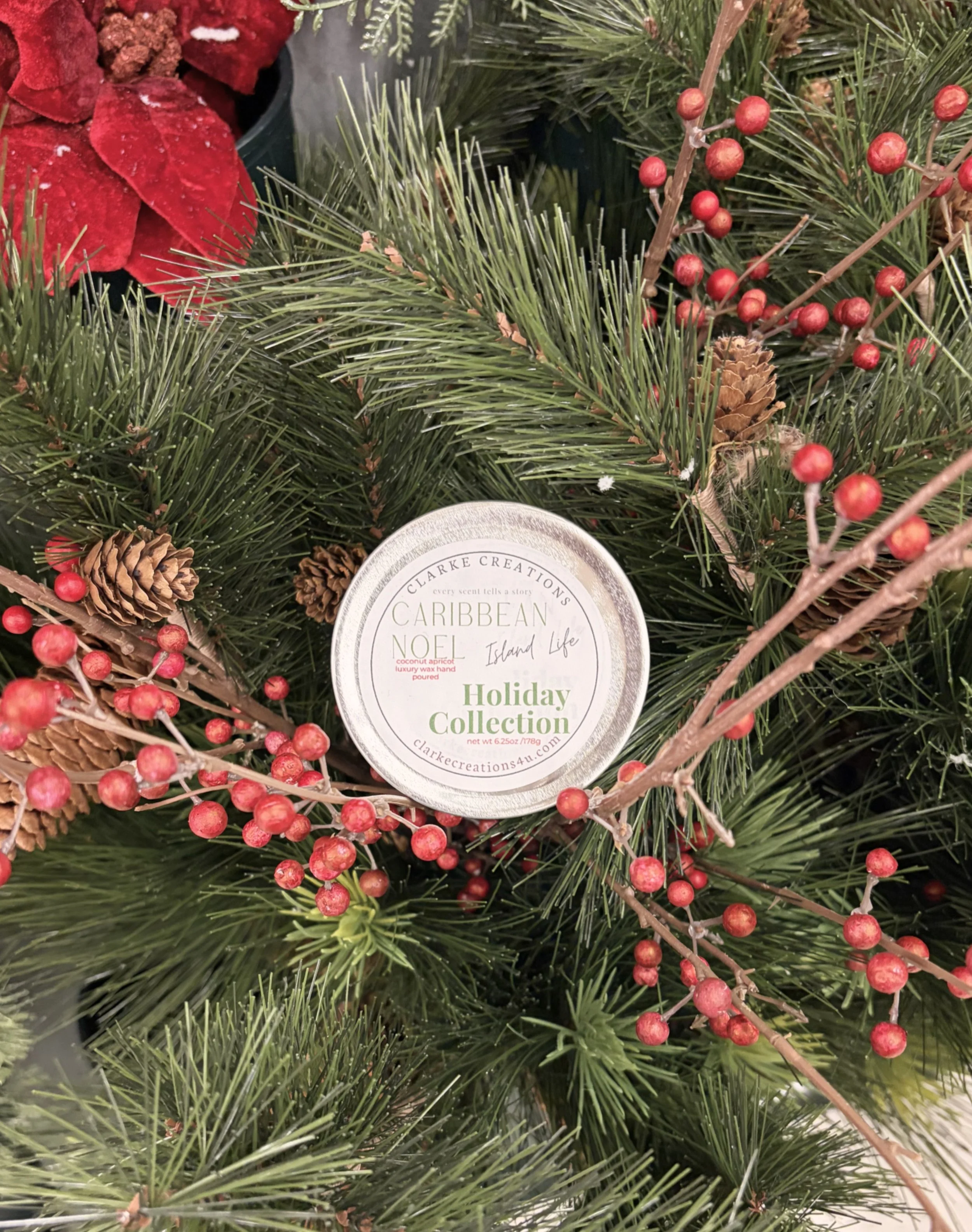 caribbean noel green holly.JPG