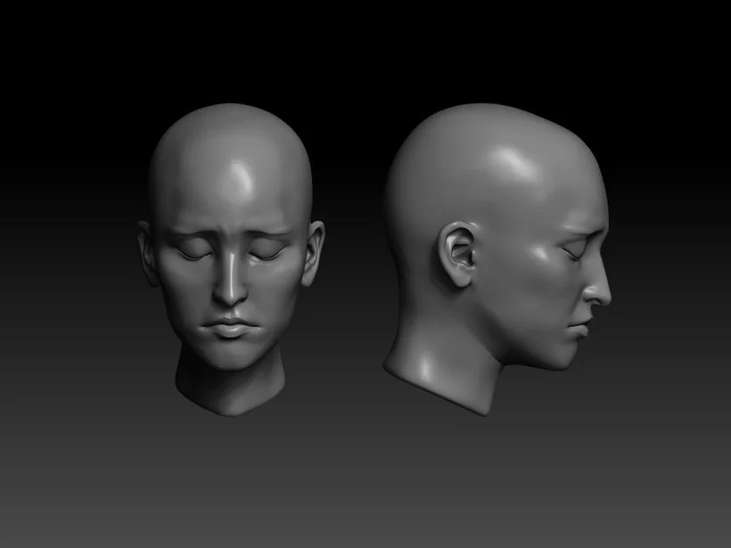 3d mockup of the face detail