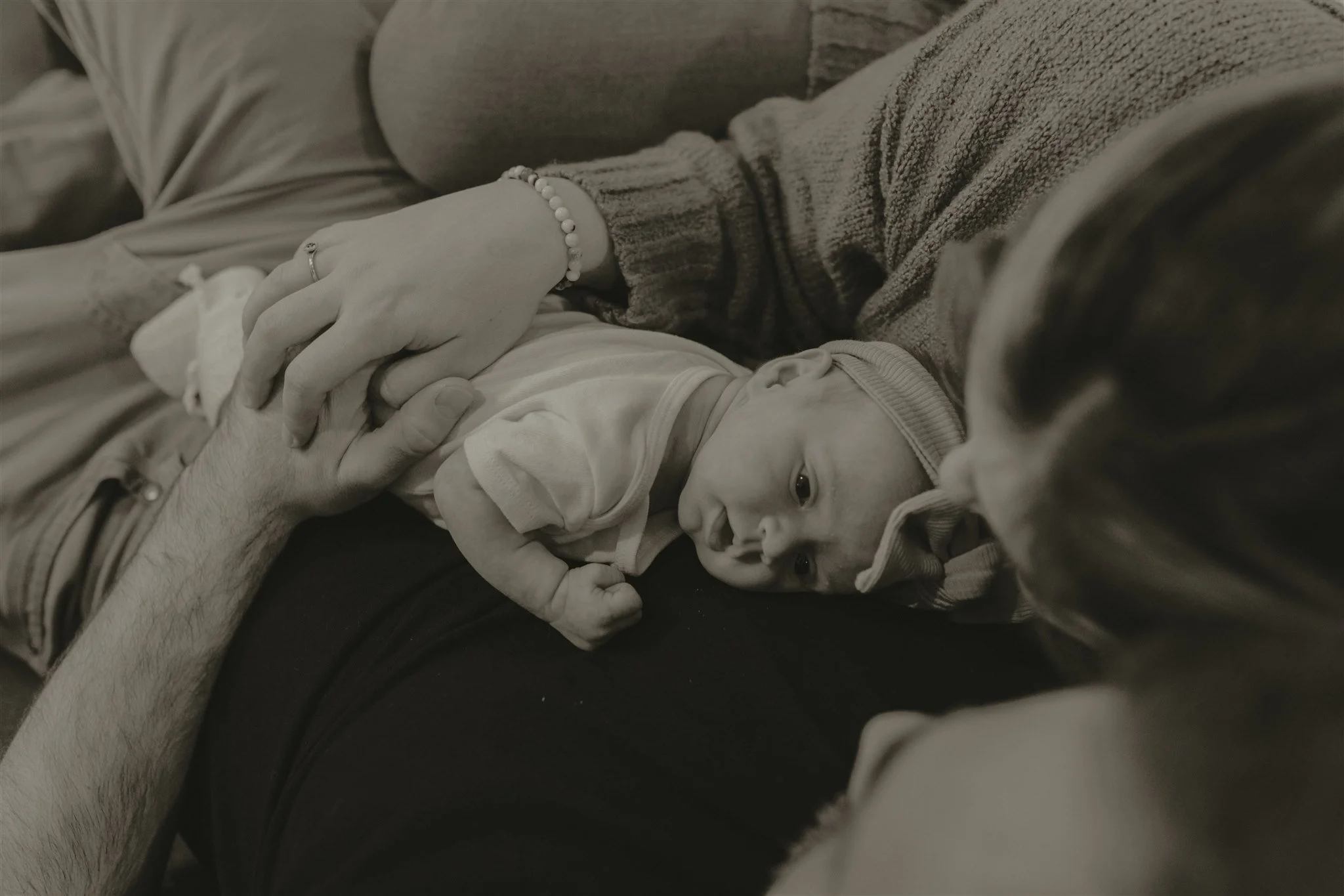 The Big Tree and The Flood