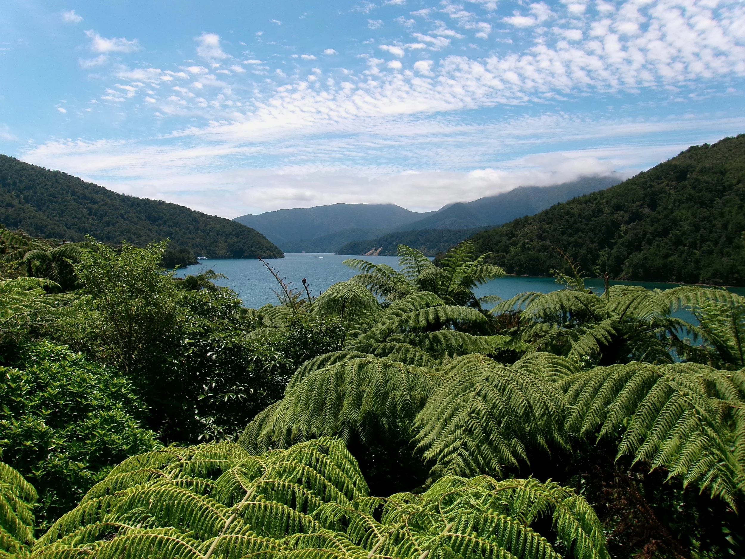 Guardians of the Sounds