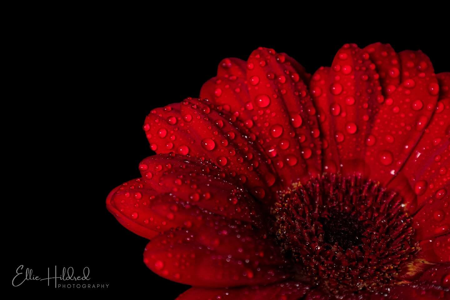 Drops of Desire