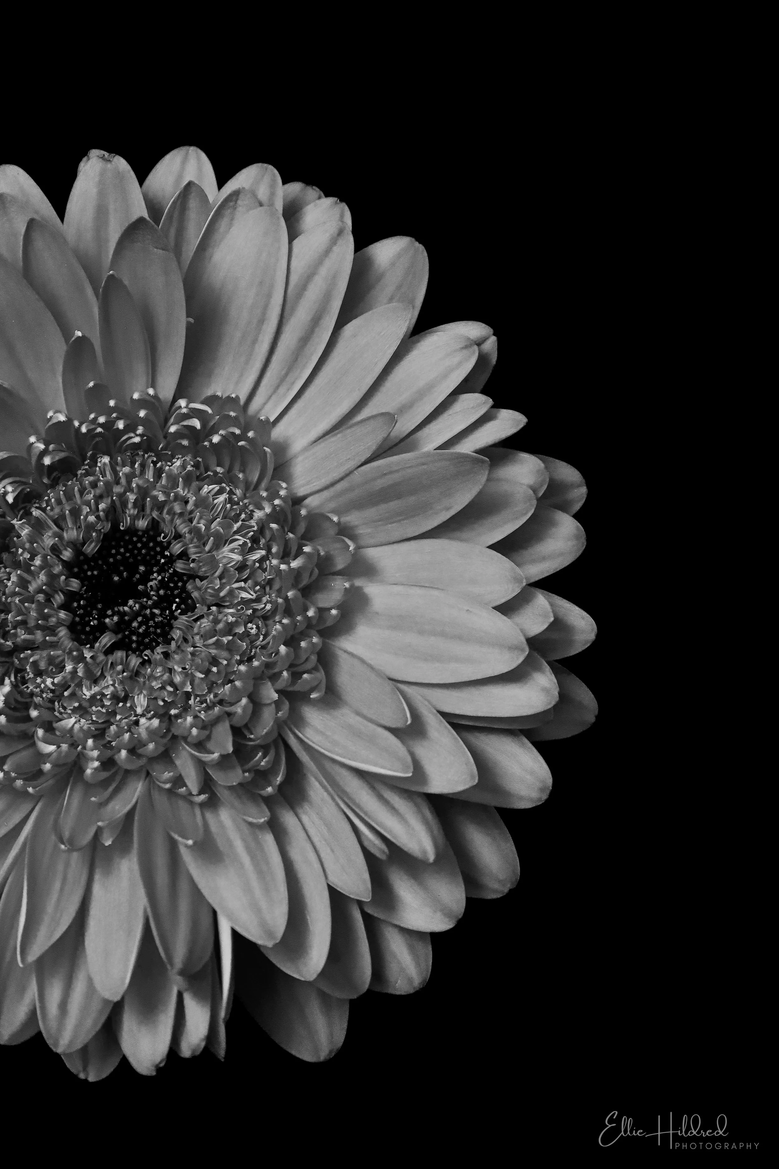 Sunshine B&W