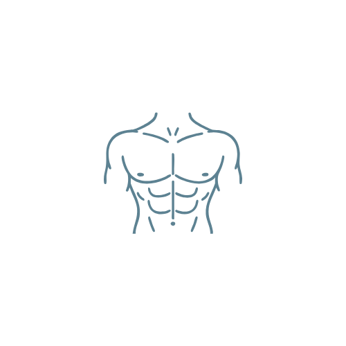 Line drawing of a muscular male torso with highlighted abdominal muscles and chest.