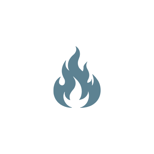 Icon of a flame.
