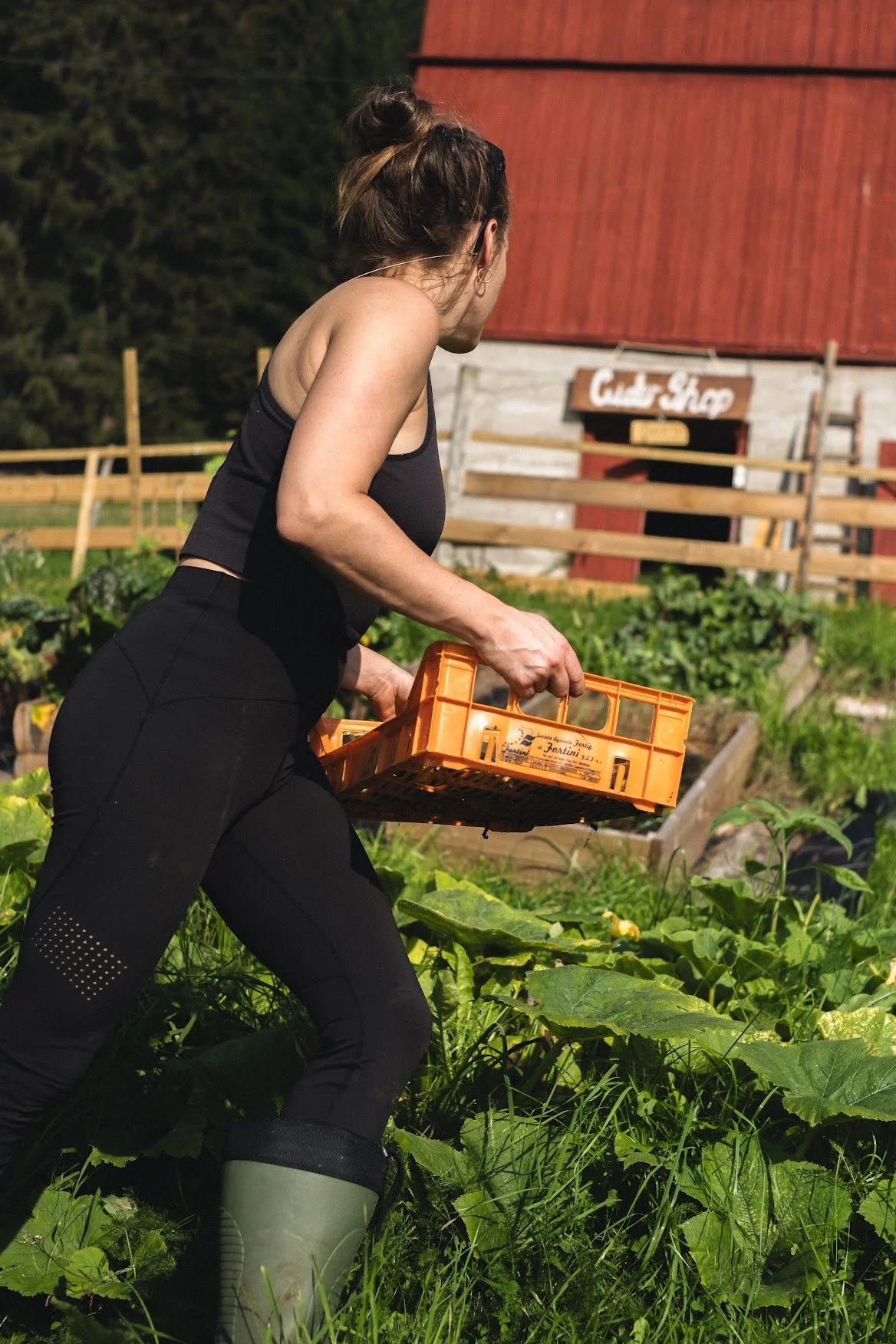 vegetable garden 1.JPG