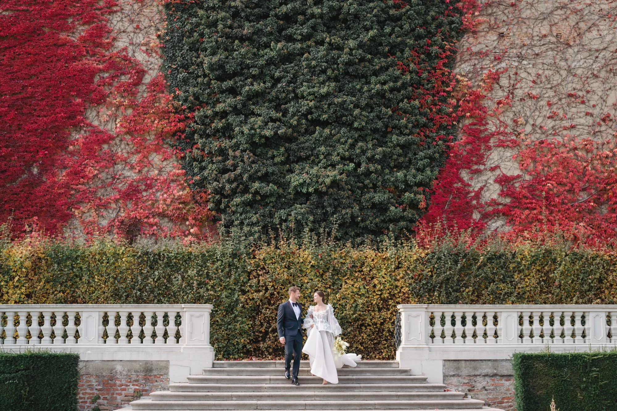 A bride and groom walking down steps in front of a garden wall covered in red and green ivy, with a large green bush above them.