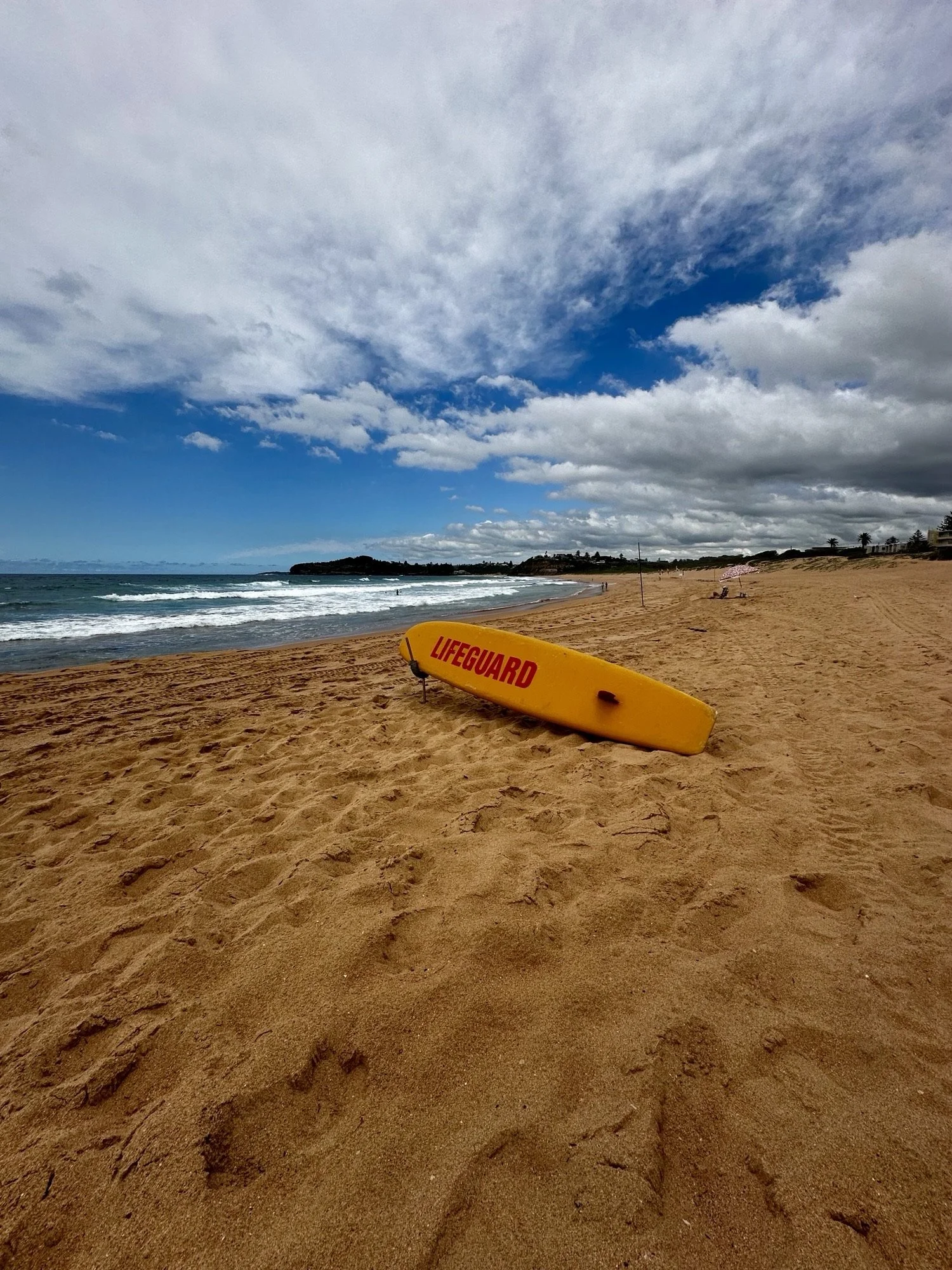 Whale Beach.jpeg